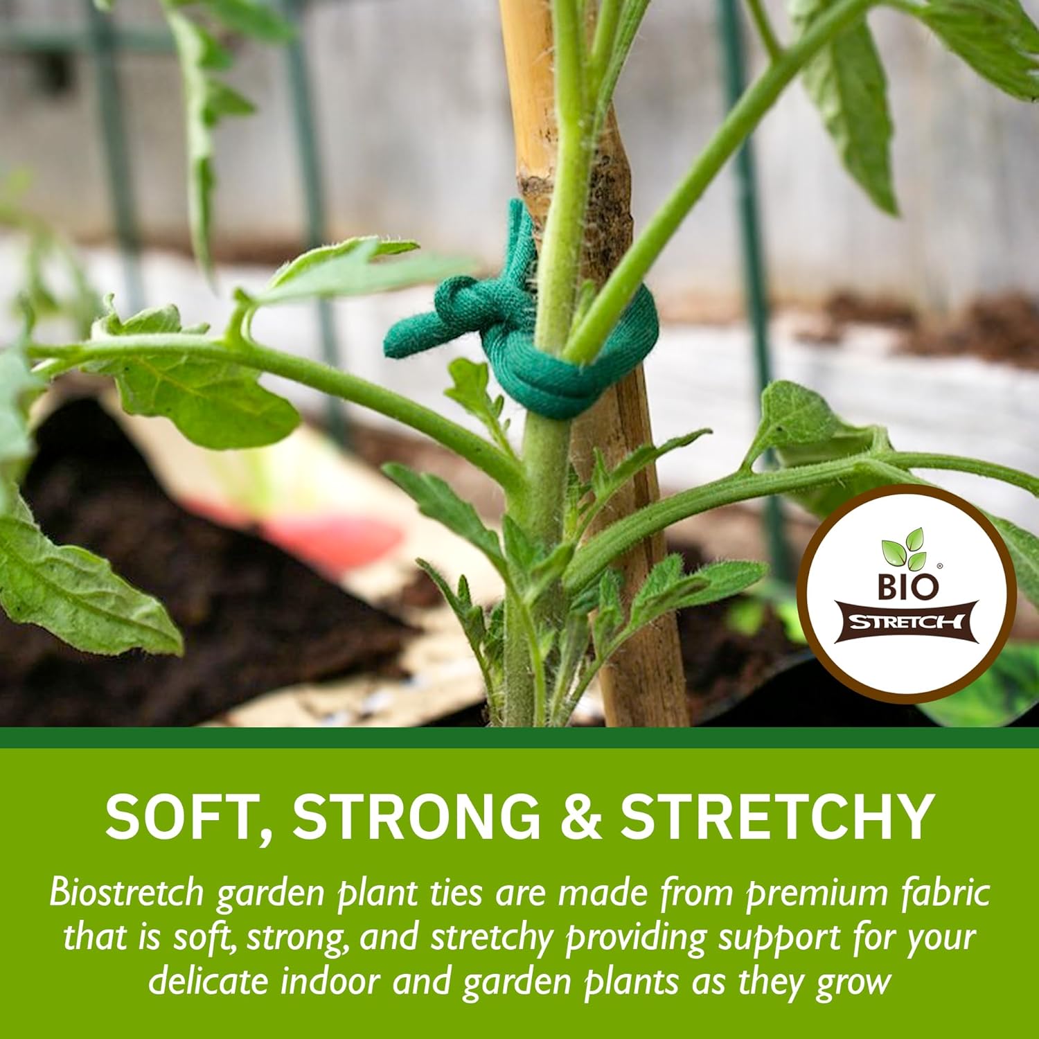Bio-Stretch Soft Garden Twine & Plant Ties for Outdoor Plants, 1 Ball Green