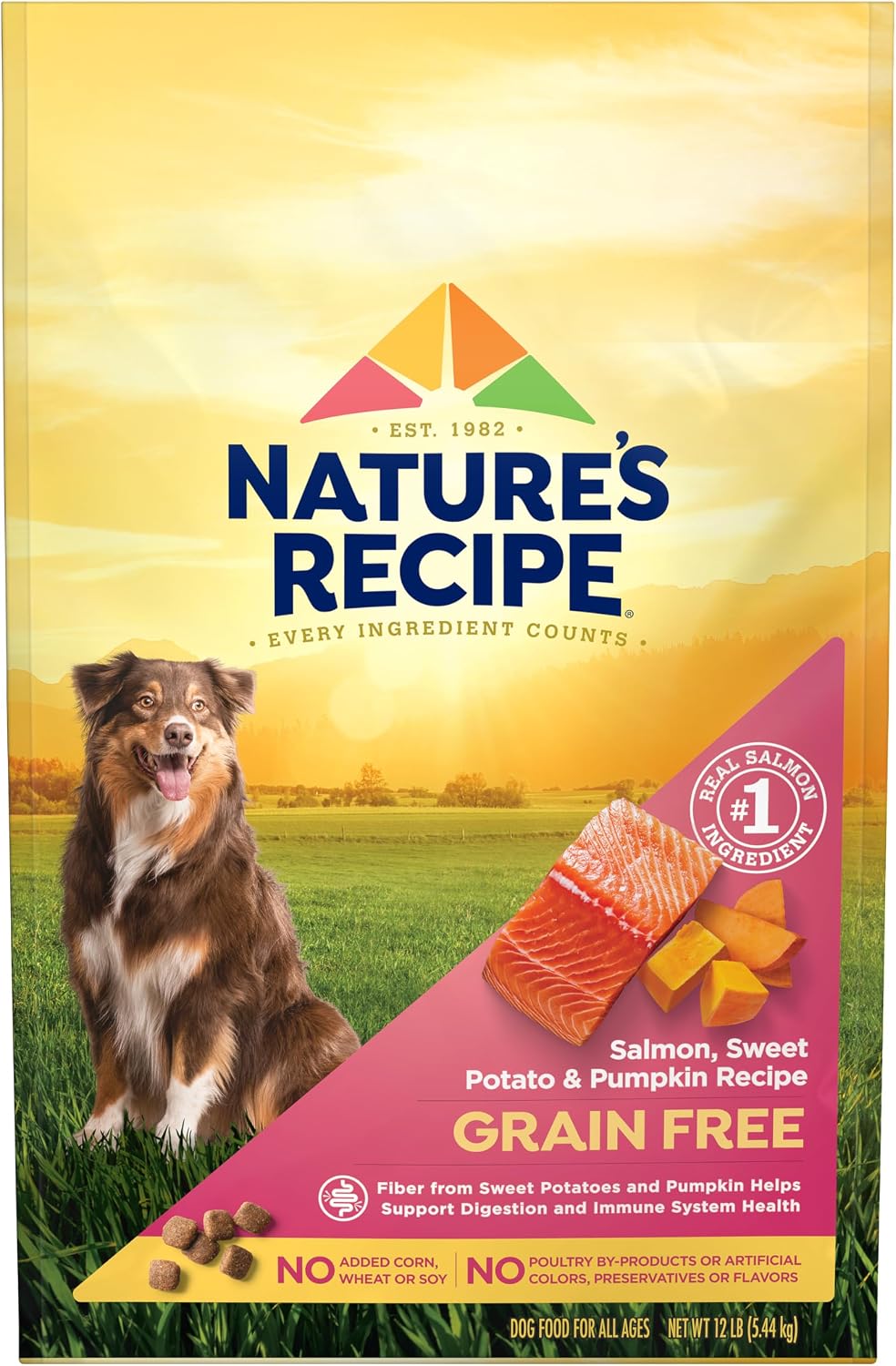 Nature's Recipe Grain Free Salmon Dry Dog Food, 24 lb. Bag | Fiber From Sweet Potatoes & Pumpkin Helps Support Digestion and Immune System Health