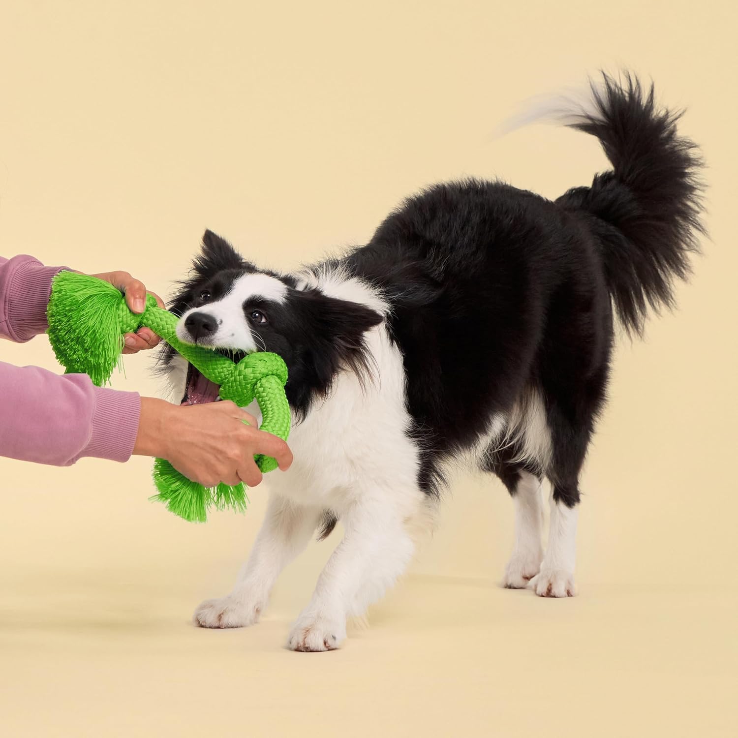 Playology Tug Rope Dog Toys for Large Breed Dogs - Jumbo, Beef Scent
