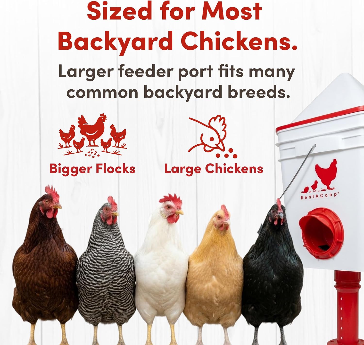 RentACoop 25lb Chicken Feeder with 4 Large Ports - Center Placement