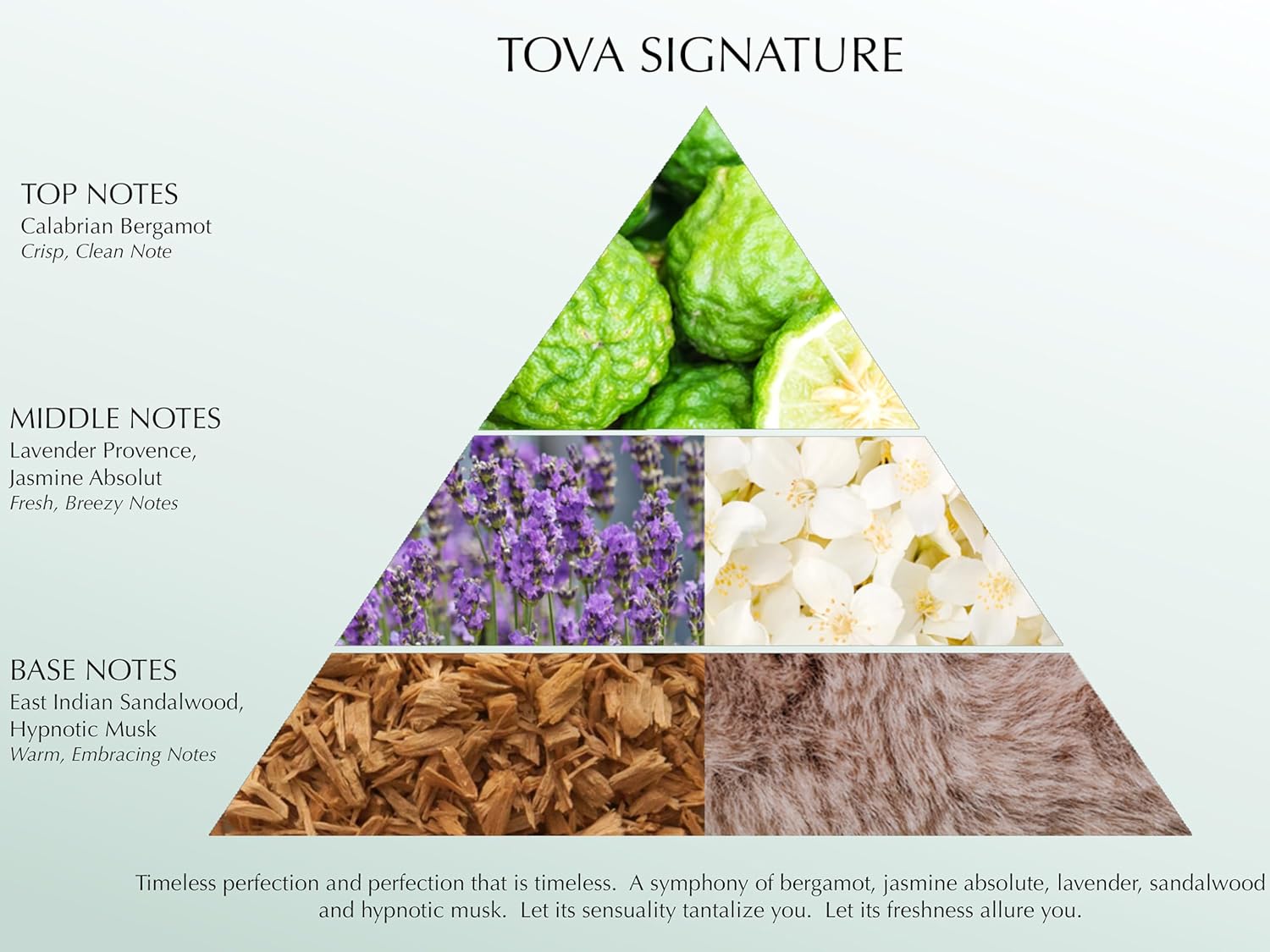 Tova Signature Eau de Parfum – Classic Bergamot Jasmine Lavender Perfume for Women – Timeless Scent – USA-Made & Cruelty-Free – 3.4 fl oz