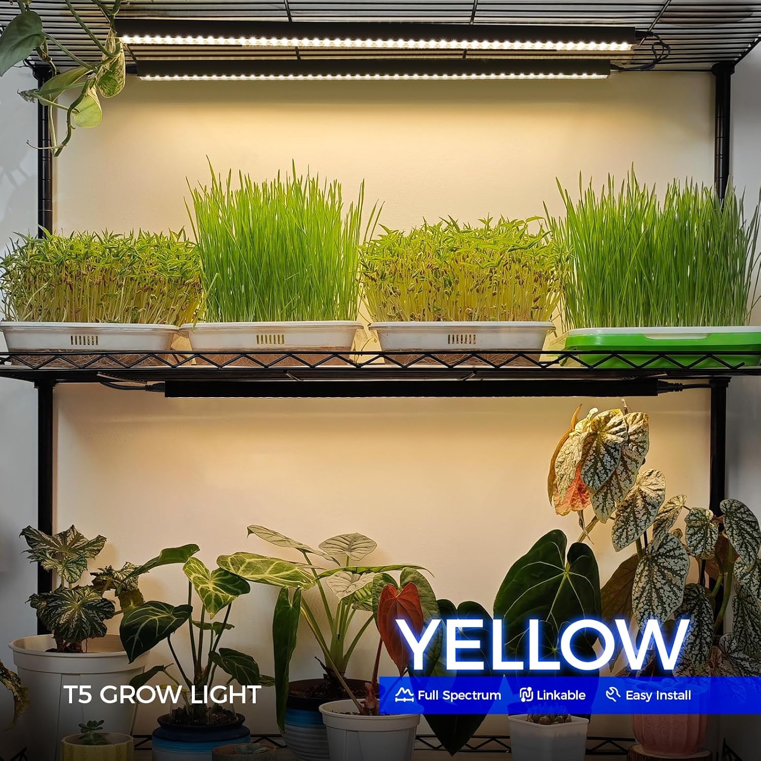 Barrina T5 Grow Lights for Indoor Plants, Full Spectrum, 2FT, 8 Packs
