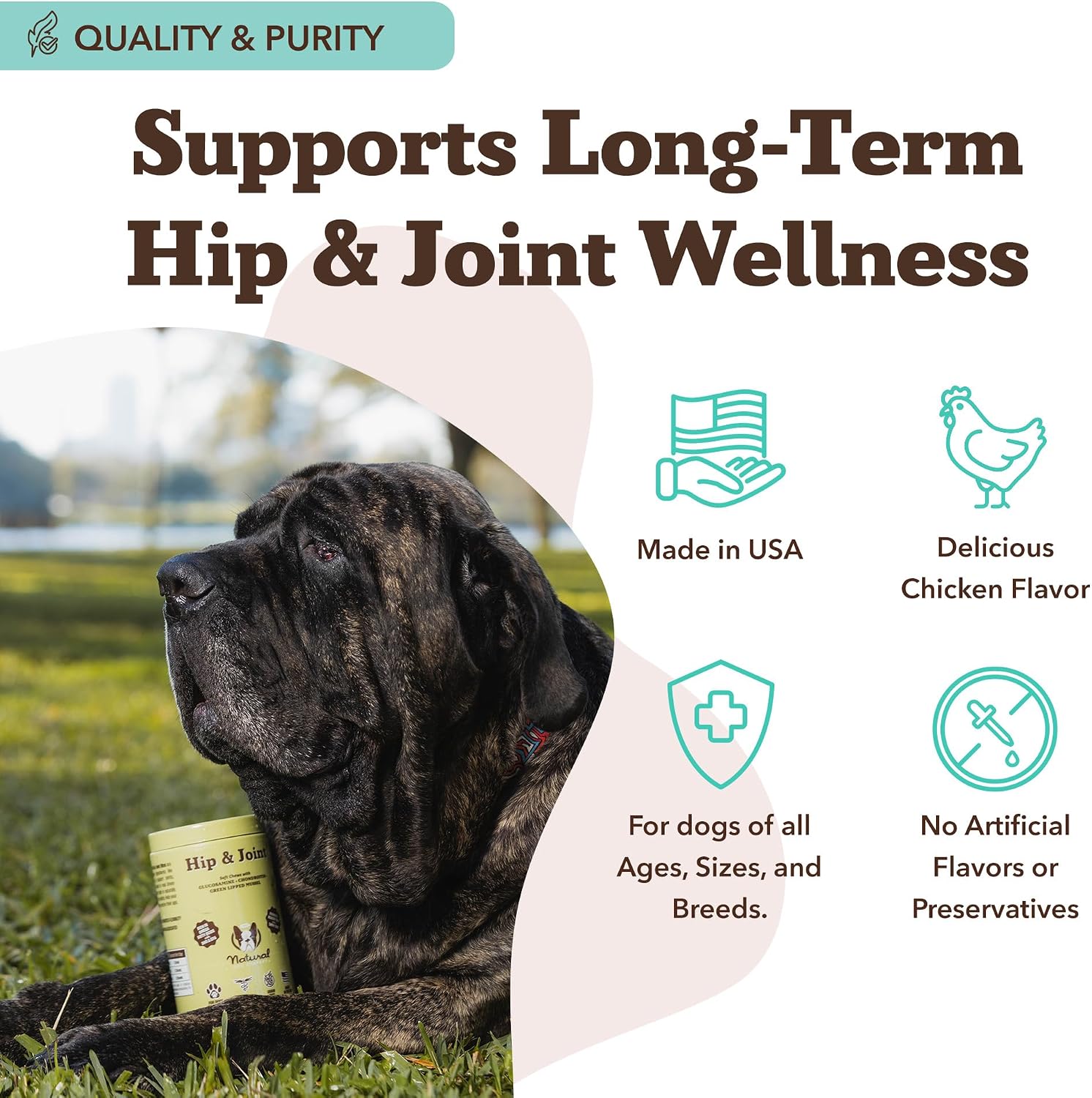 Natural Dog Company Liquid Glucosamine Hip & Joint Oil for Dogs, 16 oz, Extra Strength Cartilage & Joint Support, Helps Mobility and Eases Occasional Stiffness, Dog Vitamins & Supplements