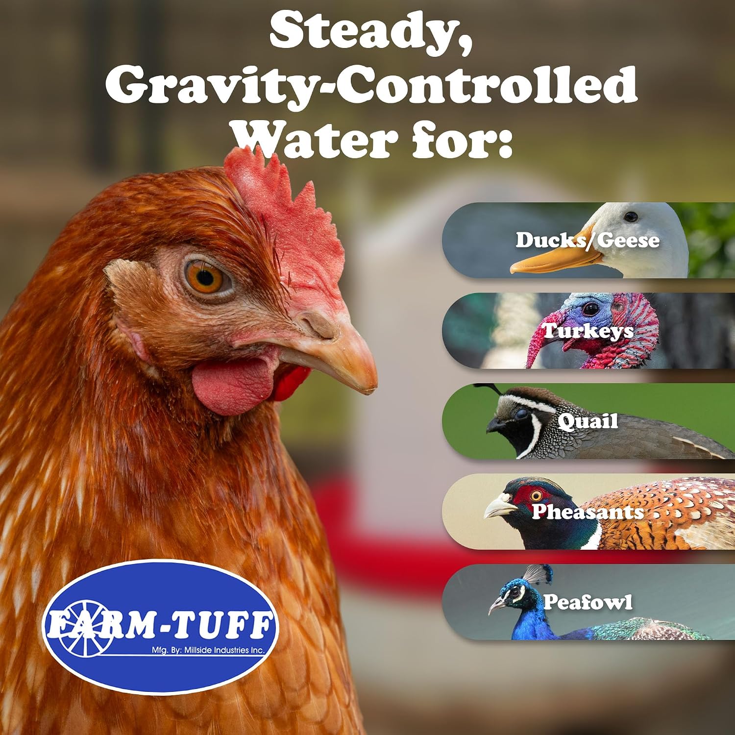 FARM-TUFF Plastic Easy Fill Poultry Waterer