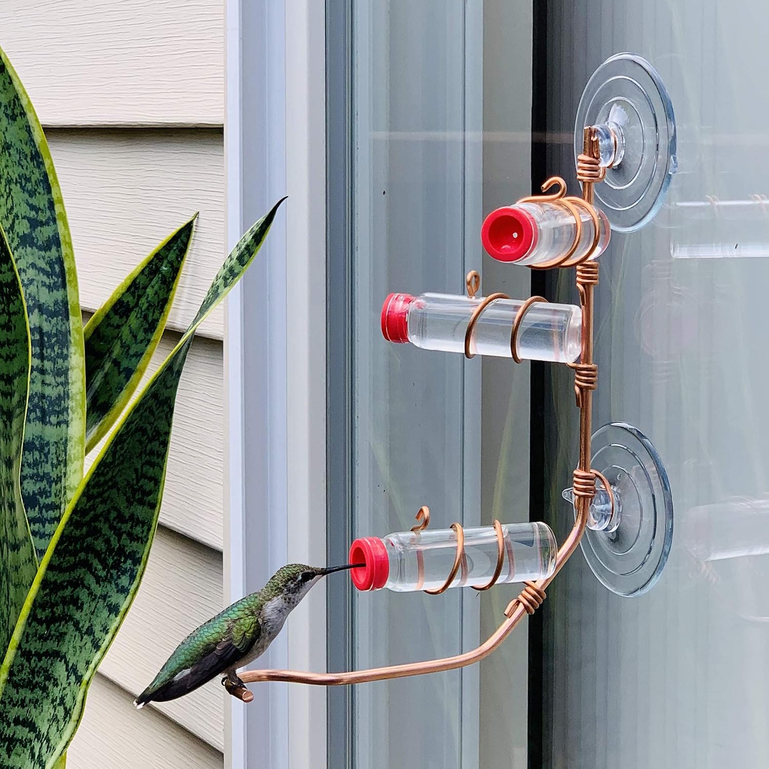 Window Hummingbird Feeder | Handcrafted Copper and Aluminum | Multiple Stations | Modern Hummingbird Feeder | Glass Bottles | Suction Cups (Copper, Four Station)