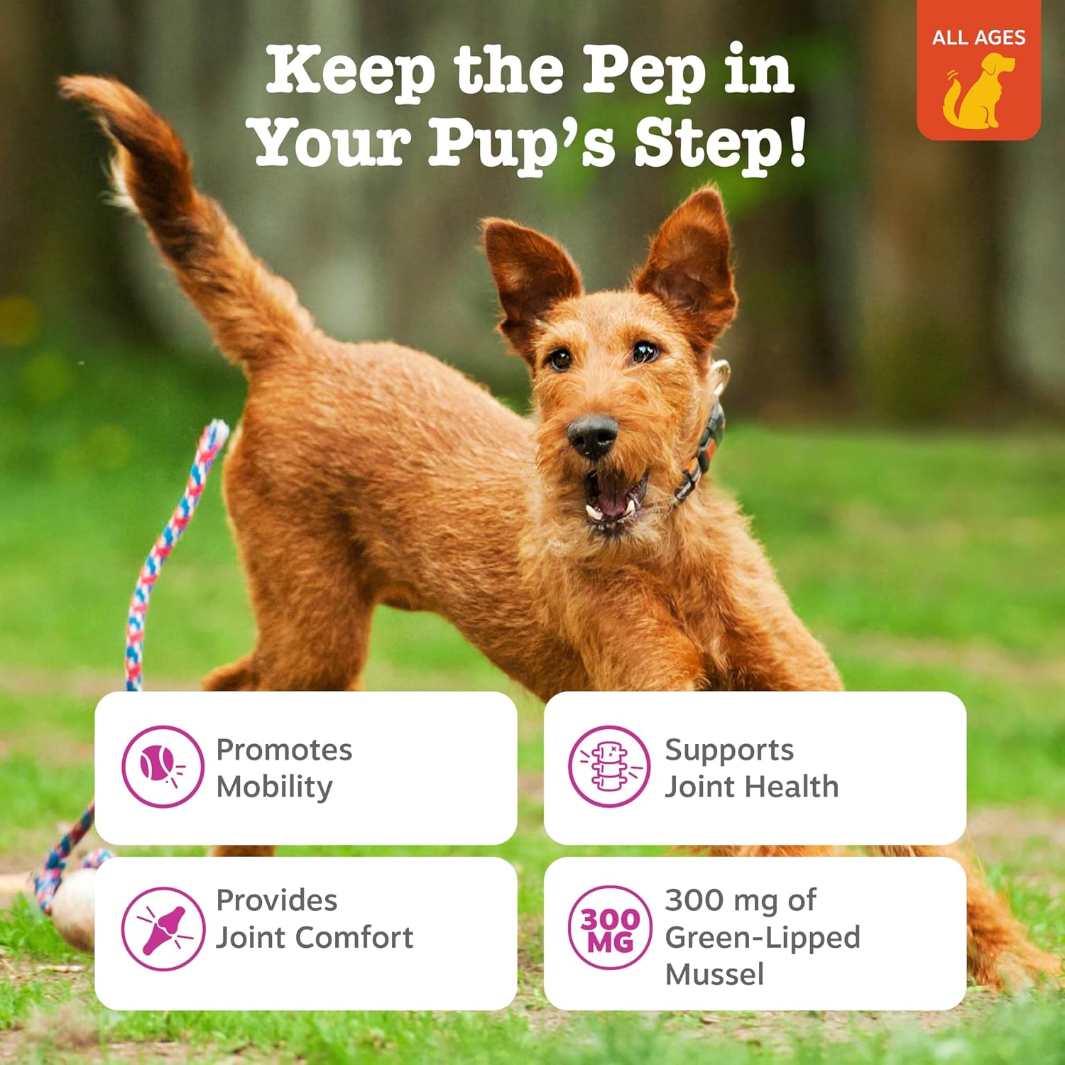 Zesty Paws Hip and Joint Supplement for Dogs - Glucosamine with Chondroitin, MSM, Vitamins C and E Dog Joint Relief - Mobility Bites Duck – 90 Count