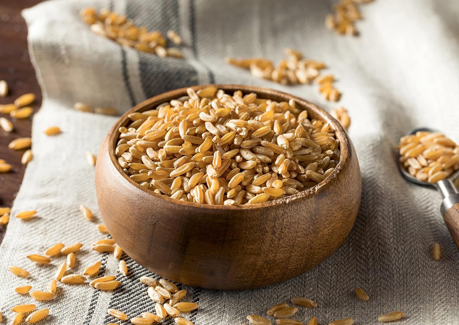 Food to Live Organic KAMUT Khorasan Wheat Berries, 5 Pounds – 100% Whole Grain, Sproutable for Wheatgrass, Non-GMO, Kosher, Bulk