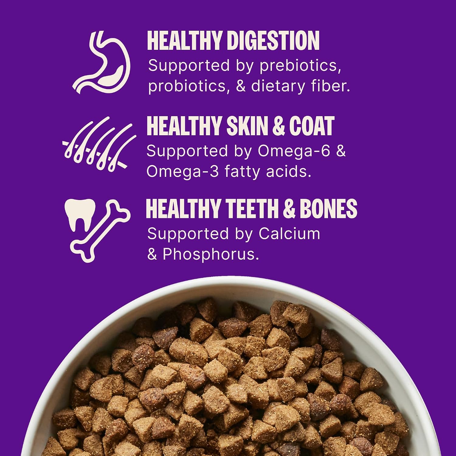 Wellness Complete Health Adult Dry Dog Food, Wholesome Grain Kibble, Natural, Chicken and Oatmeal Recipe, 5 lb Bag