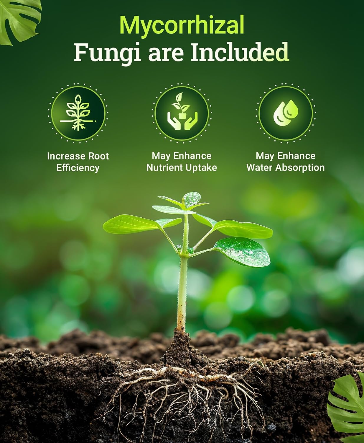 FoxFarm Happy Frog Steamed Bone Meal Fertilizer - Fine-Screened Phosphorus Fertilizer with Calcium & Mycorrhizal Fungi