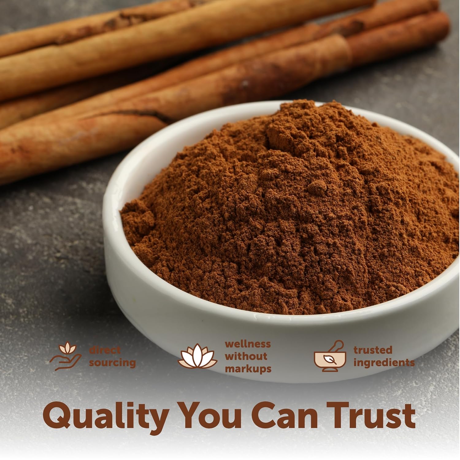 Micro Ingredients Organic Ceylon Cinnamon Powder, 2 lb Sri Lanka Source | True Cinnamon for Spice & Seasoning | Great for Baking, Cooking, & Drinks | Additive Free, Non-GMO