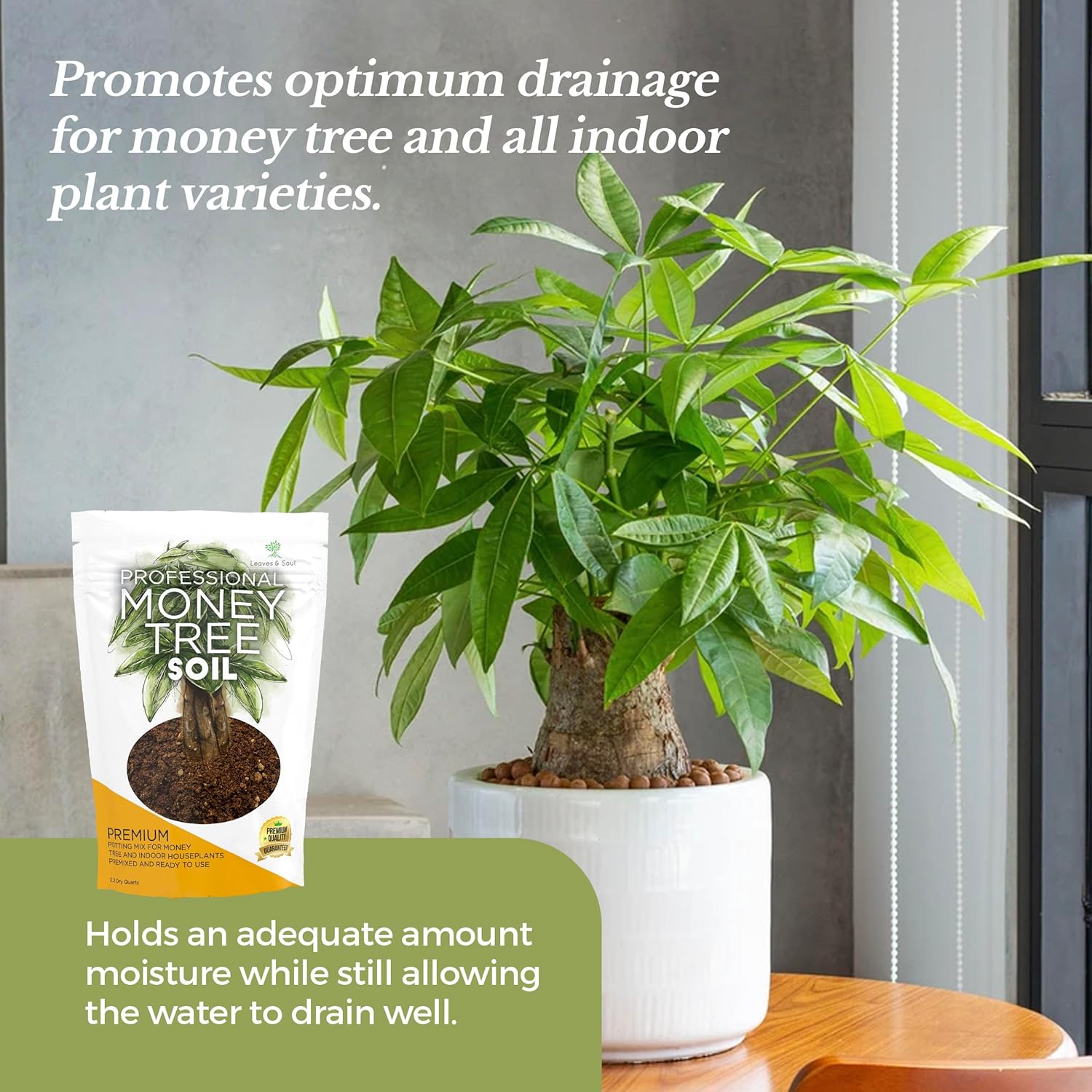 Professional Bonsai Soil Mix Ready to Use | Large 2.2 Quarts, Premium Potting Soil for Bonsai Trees