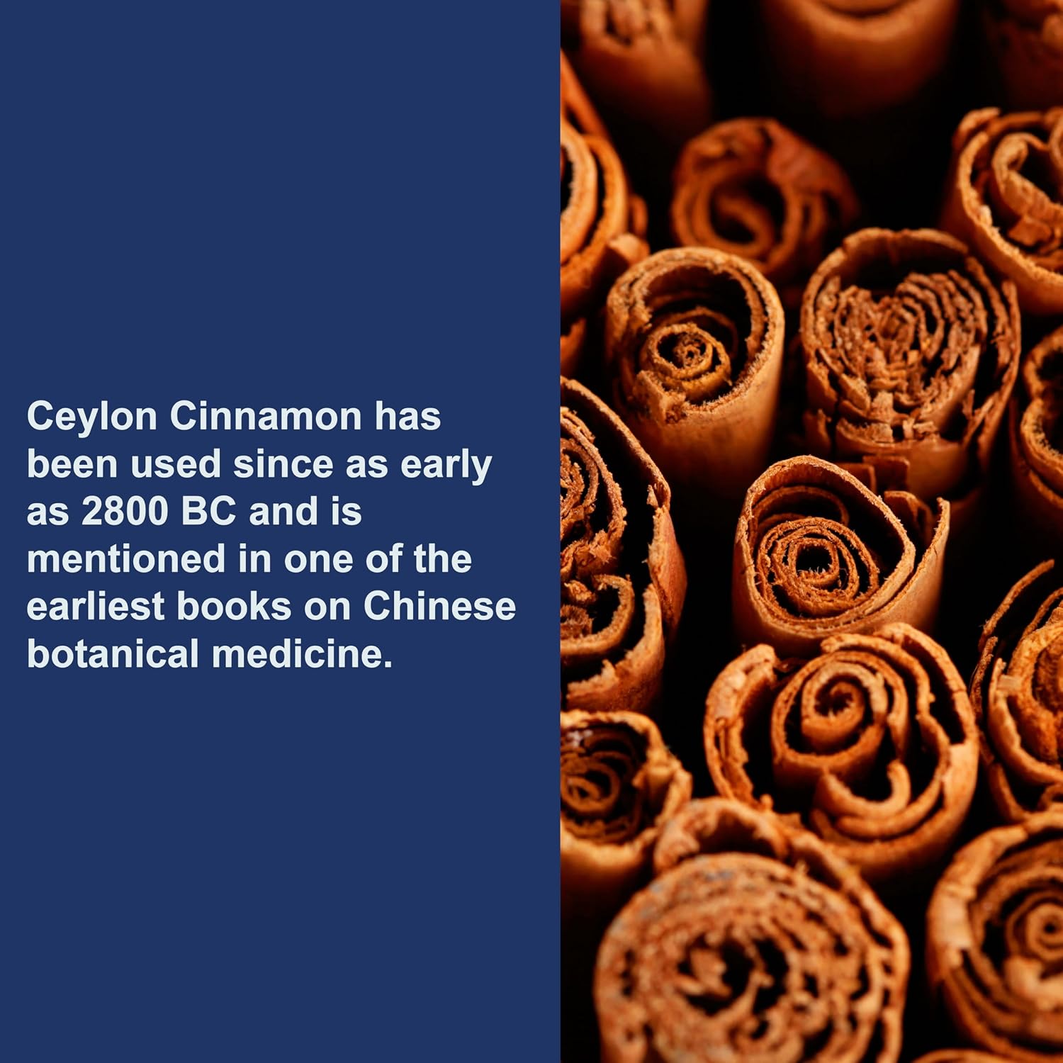 Carlson Ceylon Cinnamon, Cinnamon Supplements, 500 mg, 180 Capsules