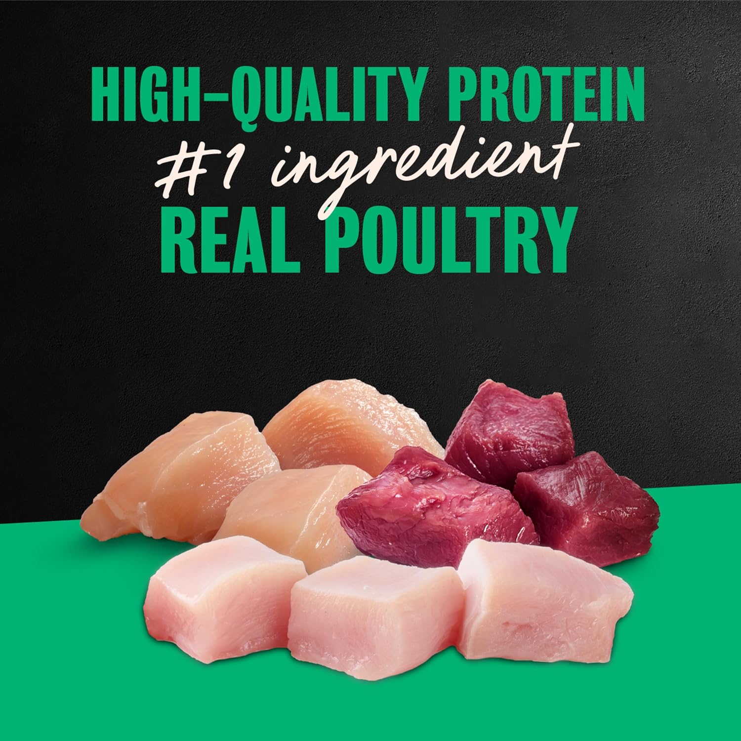 Cesar Wet Dog Food, Steak Lovers Variety Pack, 3.5 oz, 36 Count | Real meat #1 ingredient, easy peel trays, 100% complete & balanced, no fillers, no added sugar, no artificial flavors