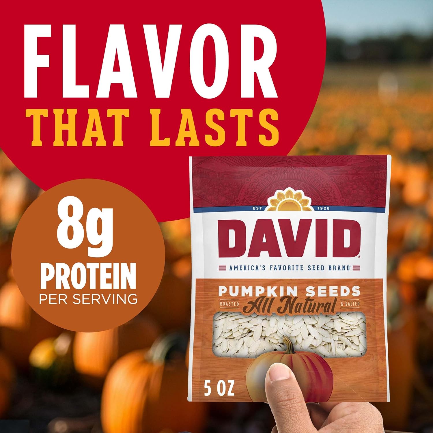 DAVID All Natural Pumpkin Seeds, 5 oz. (Pack of 12)