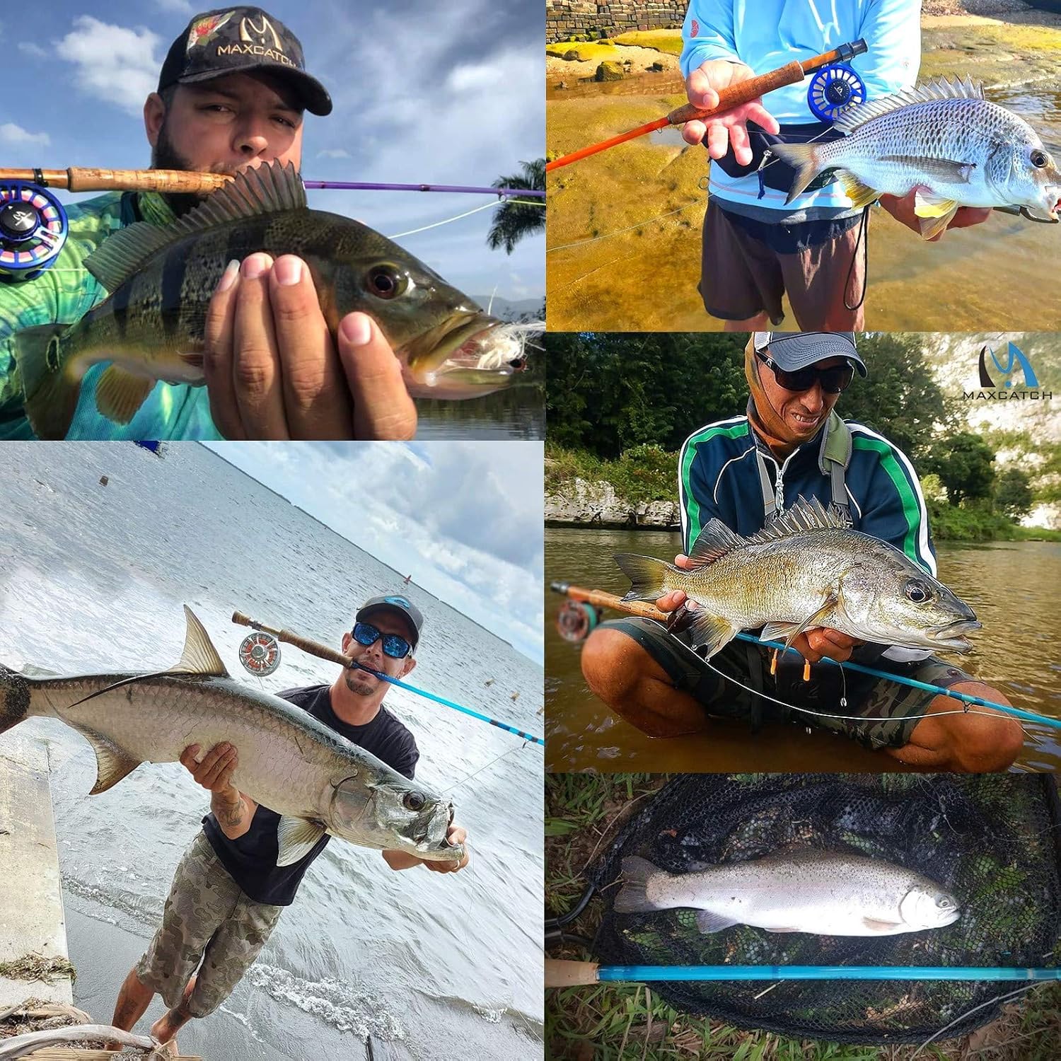 M MAXIMUMCATCH Maxcatch Fiberglass Fly Fishing Rod: 3wt/ 5wt/ 6wt/8wt in Blue,Orange, Purple or Transparent