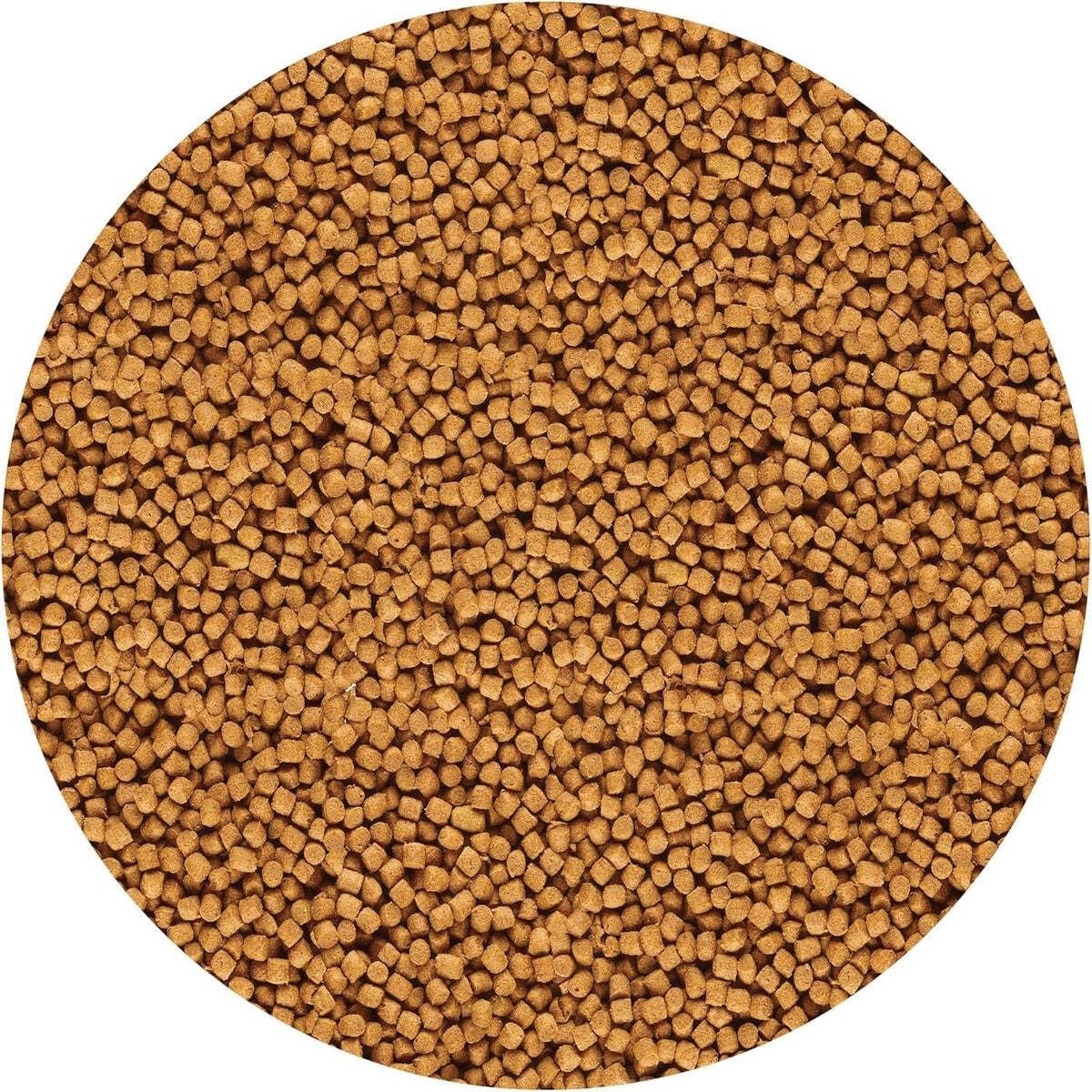 API POND COOL WATER FOOD Pond Fish Food 11-Ounce Container