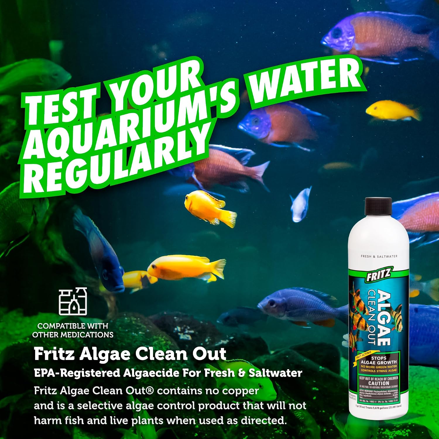 Fritz Aquatics Algae Clean Out - Algaecide for Fresh and Salt Water Aquariums, 16 oz