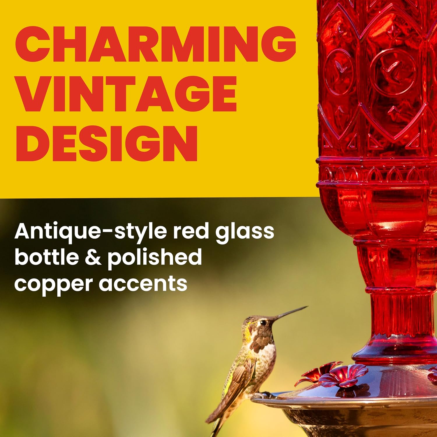More Birds Red Jewel Hummingbird Feeder, Glass Bottle, 5 Feeding Ports and 20-Ounce Nectar Capacity (76IN)