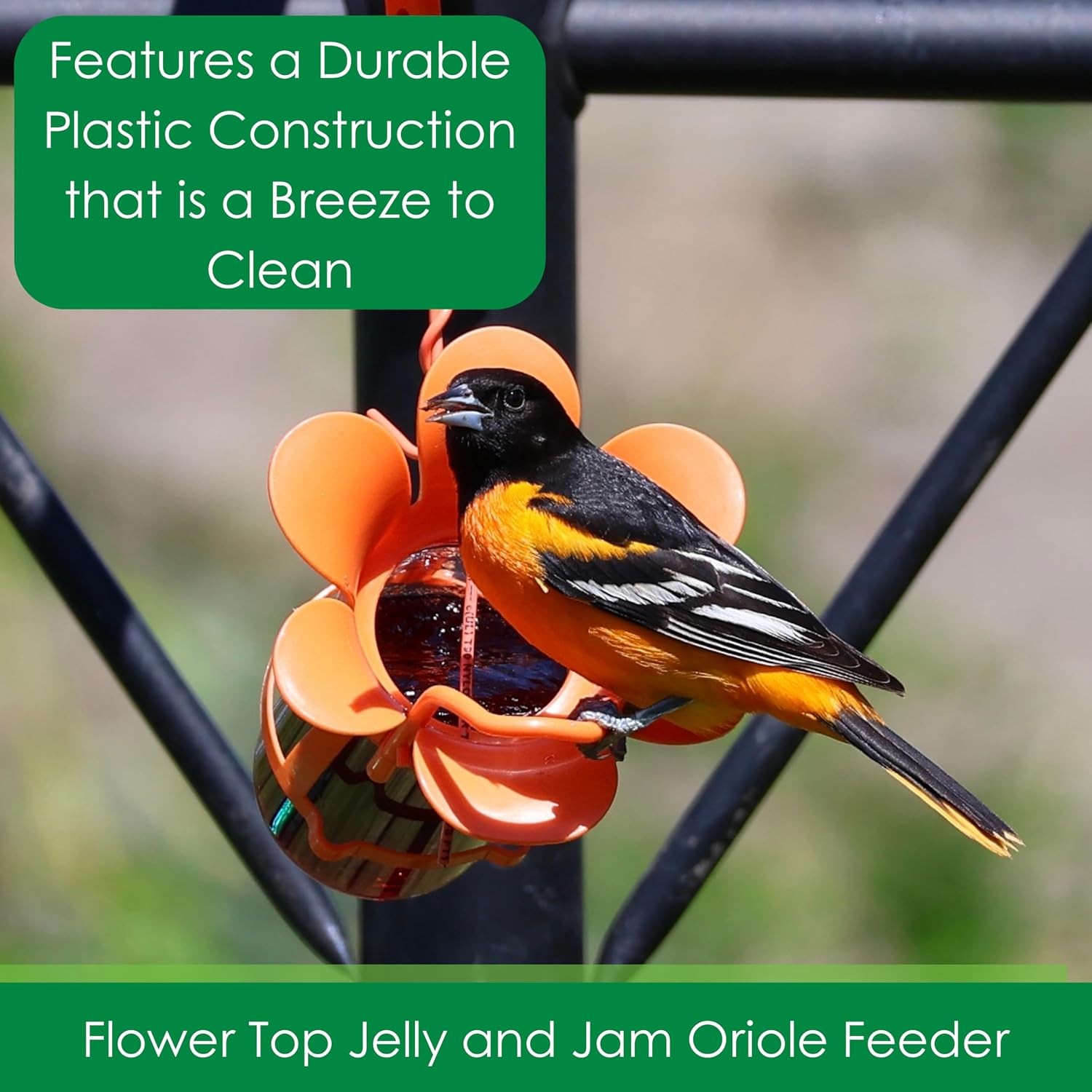 Glass Jelly and Jam Bird Feeder, Hanging Oriole Treat Dish | Jelly and Jam Feeder; Glass Dish; Hanging Design; Attracts Orioles
