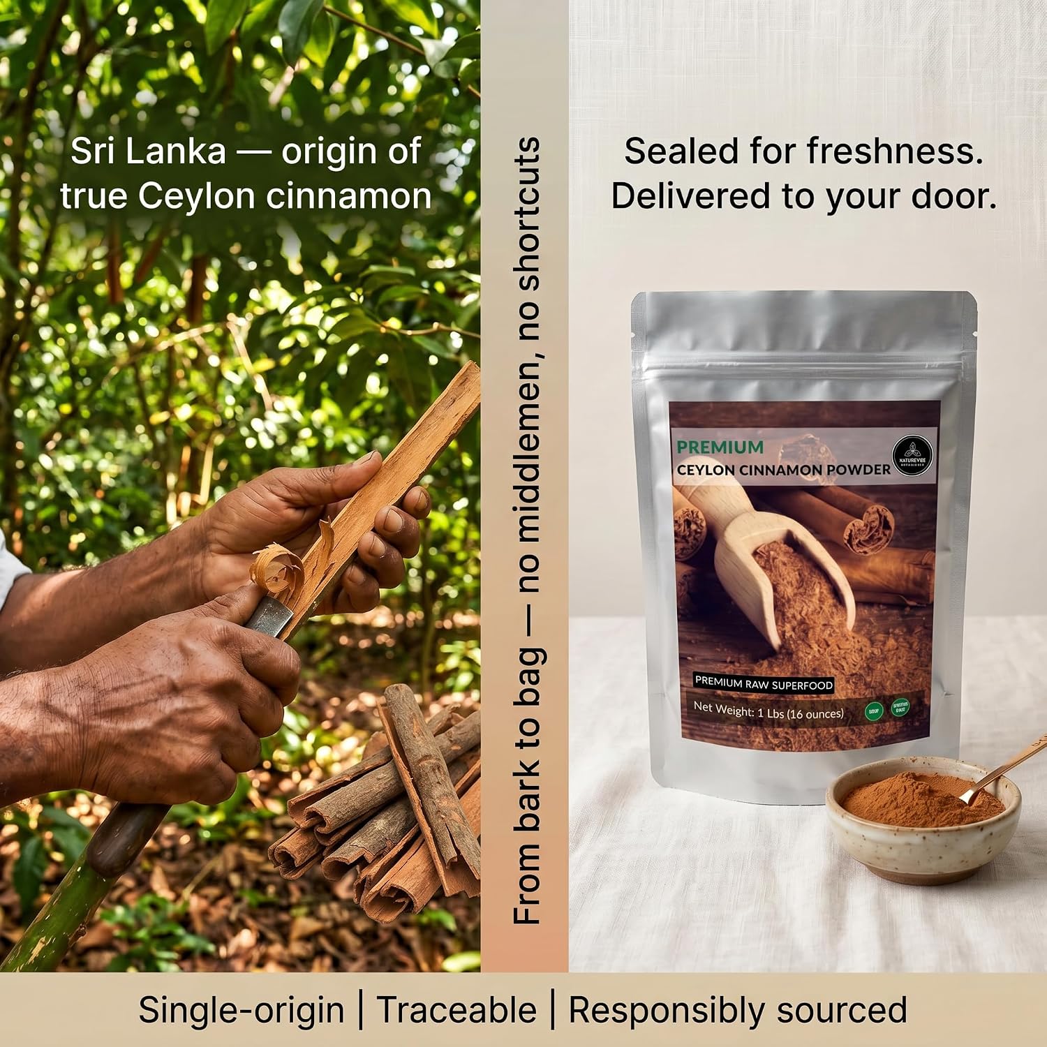 Ceylon Cinnamon Powder (1lb), Ground Premium Quality by Naturevibe Botanicals | Gluten-Free, Keto Friendly & Non-GMO (16 ounces)