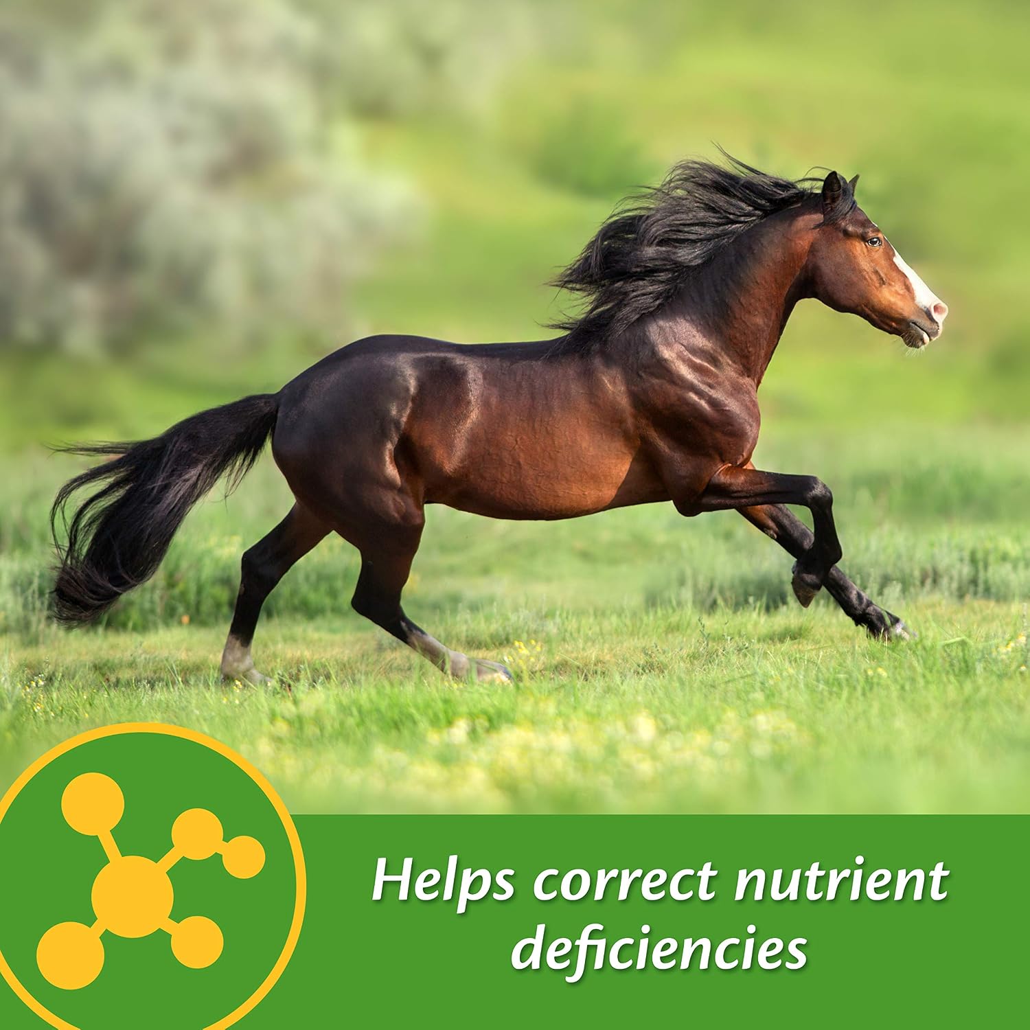 Farnam Vita-Min E & Selenium Antioxidant Supplement for Horses, 3 lb