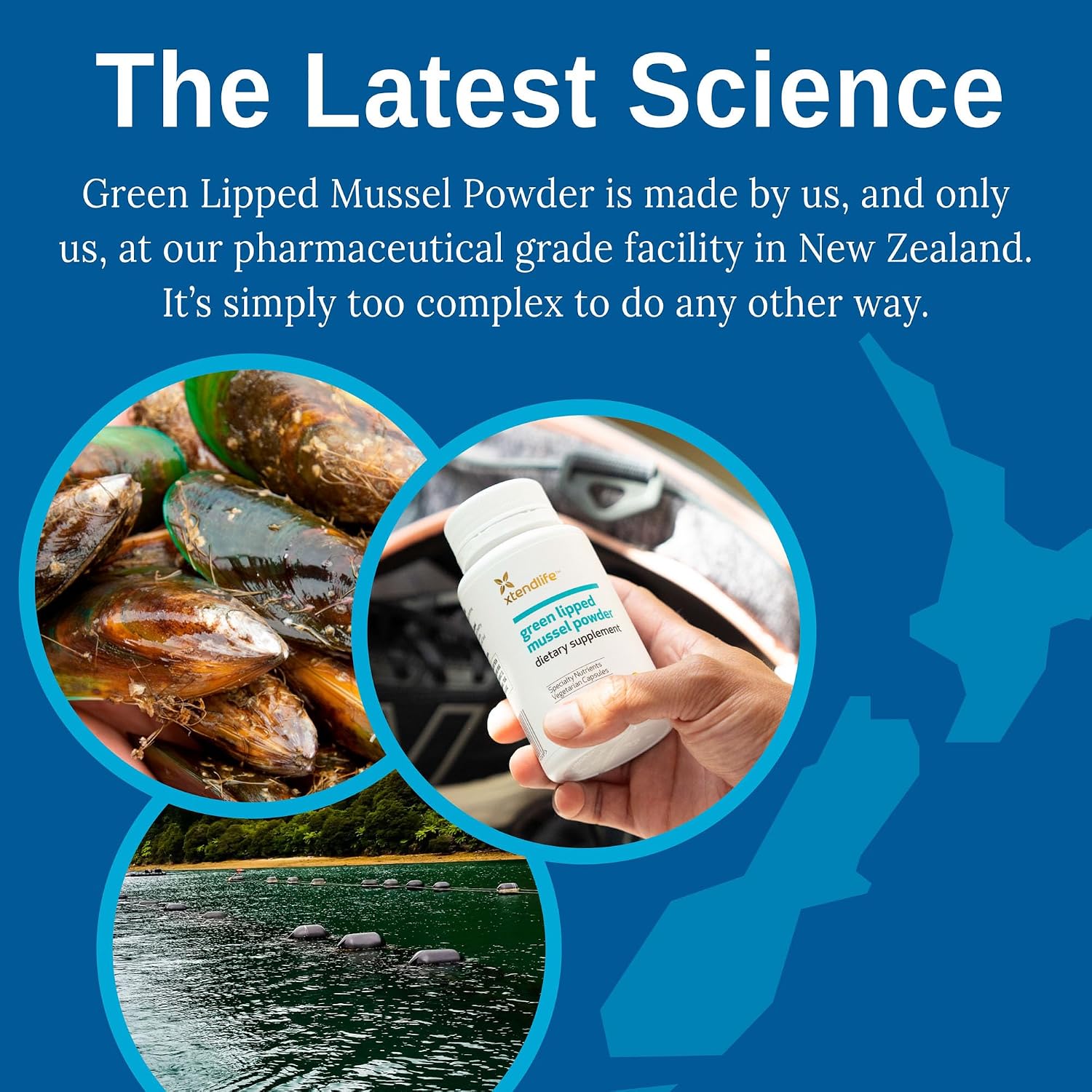 Xtendlife Green Lipped Mussel Supplement, 30 Day Supply | 2400mg Joint Support Formula with Omega‑3 Fatty Acids – New Zealand Sourced Mussel Powder for Mobility & Flexibility