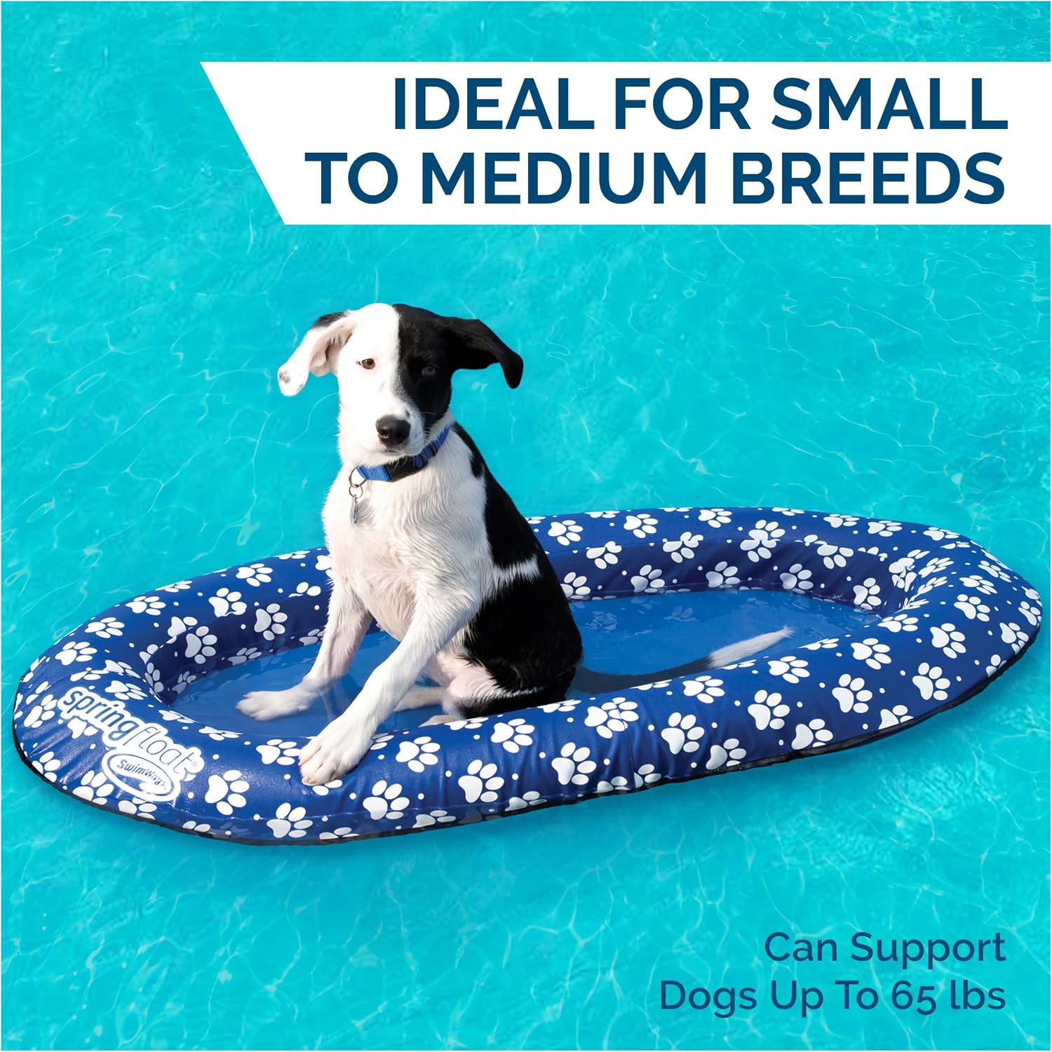 SwimWays Paddle Paws Spring Float Dog Raft, Small (0-65 lbs.) | Fast Inflation for Fast Use During Travel, Durable Scratch-Resistant Design for Use with Dogs, Includes Carrying Case