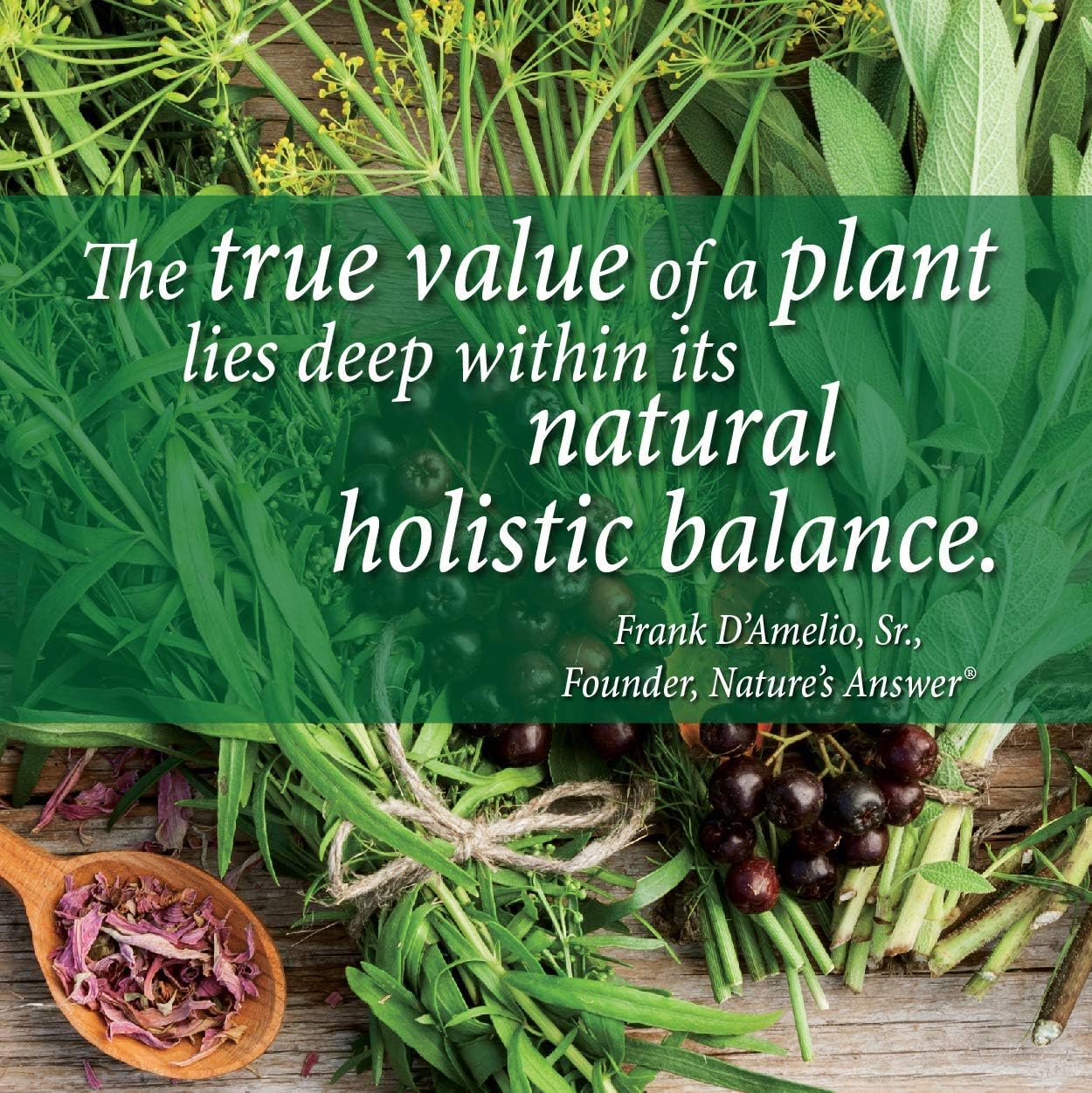 Nature's Answer Marine Based Magnesium, Super Concentrated 500mg | Plant Based | Red Algae & Seawater Derived | Alcohol-Free & Gluten-Free | Vegetarian Capsules 90ct