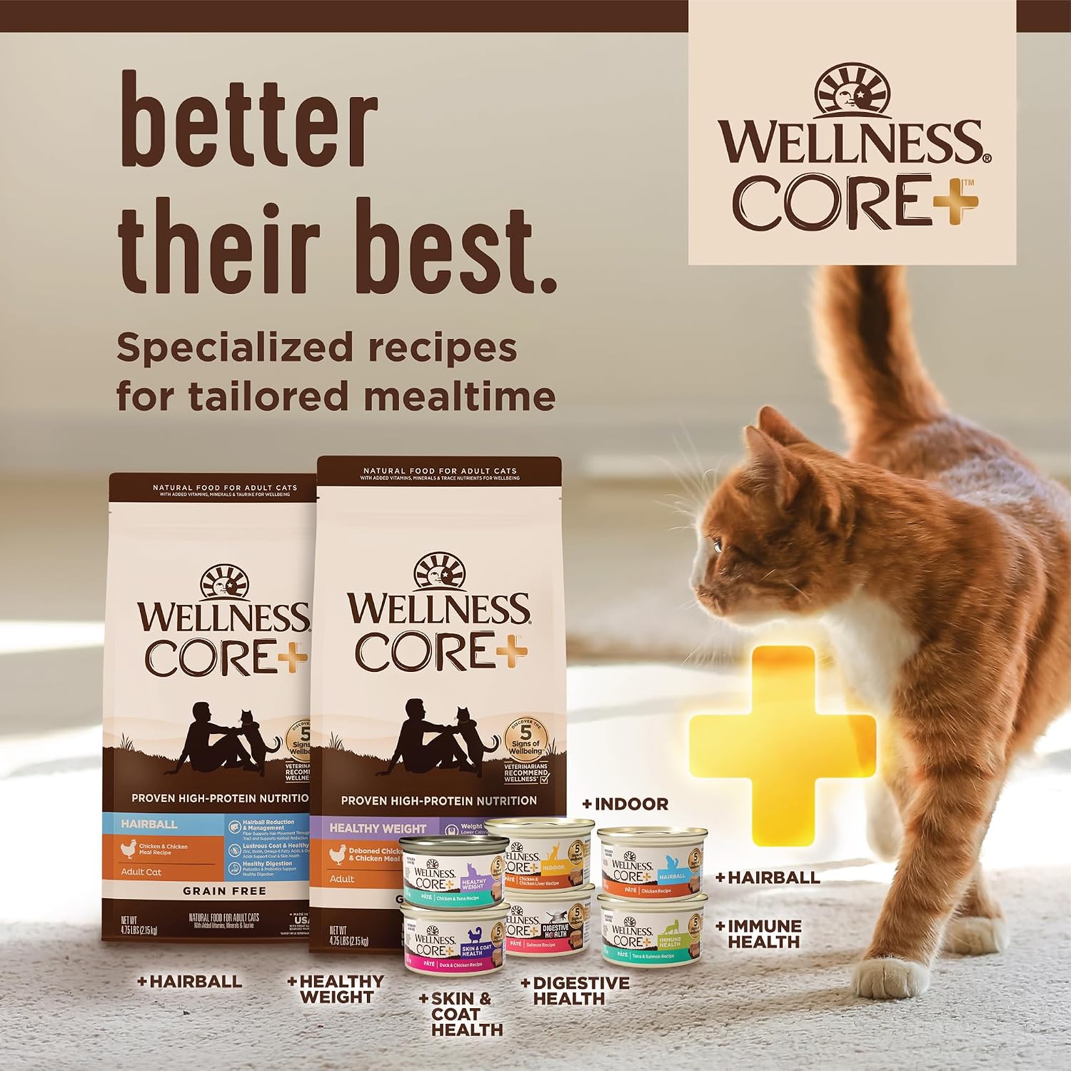 Wellness CORE+ Adult Dry Cat Food, Natural, Wholesome Grains Kibble, Digestive Health Chicken and Rice Recipe, 5 lb Bag