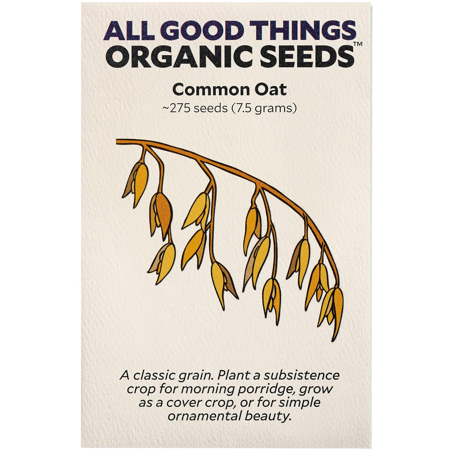 All Good Things Organic Hard Red Spring Wheat Seeds for Planting: 200 Count | Classic Bread-Baking Wheat, High-Protein Hard Red Kernels, Homestead Grain Plot Staple, Doubles as Cover Crop, Non-GMO