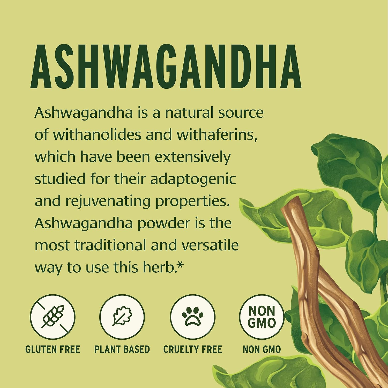 Banyan Botanicals Ashwagandha Powder – Organic Ashwagandha Root – Renowned Herbal Adaptogen for Natural Energy Support and Stress Support* – 1/2lb – Non-GMO Sustainably Sourced Vegan