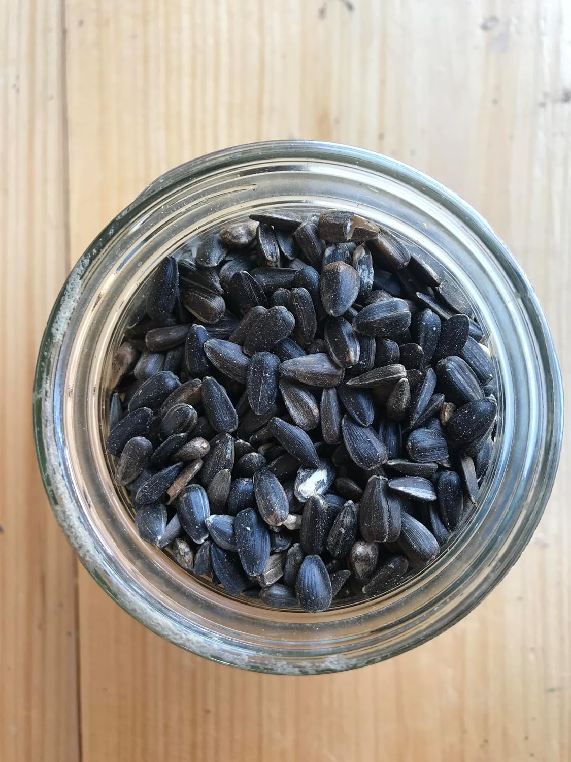 Ernst Grain & Livestock Black Oil Sunflower Seeds - Birdseed for Outside Feeders Wild Bird Food - Ideal Bird Seed for Cardinals