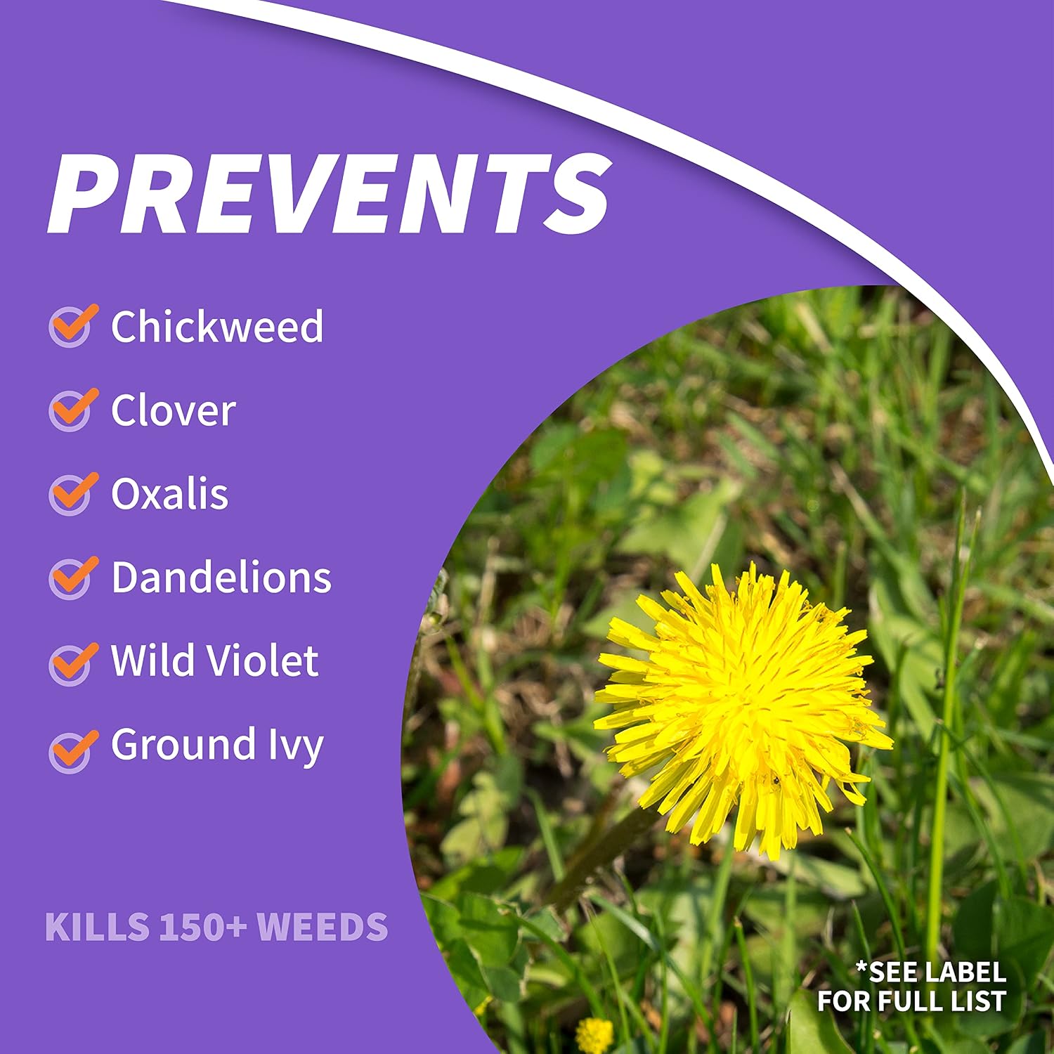 Bonide Chickweed, Clover and Oxalis Killer, 16 oz Concentrate | Controls Weeds and Roots Without Harming Lawn