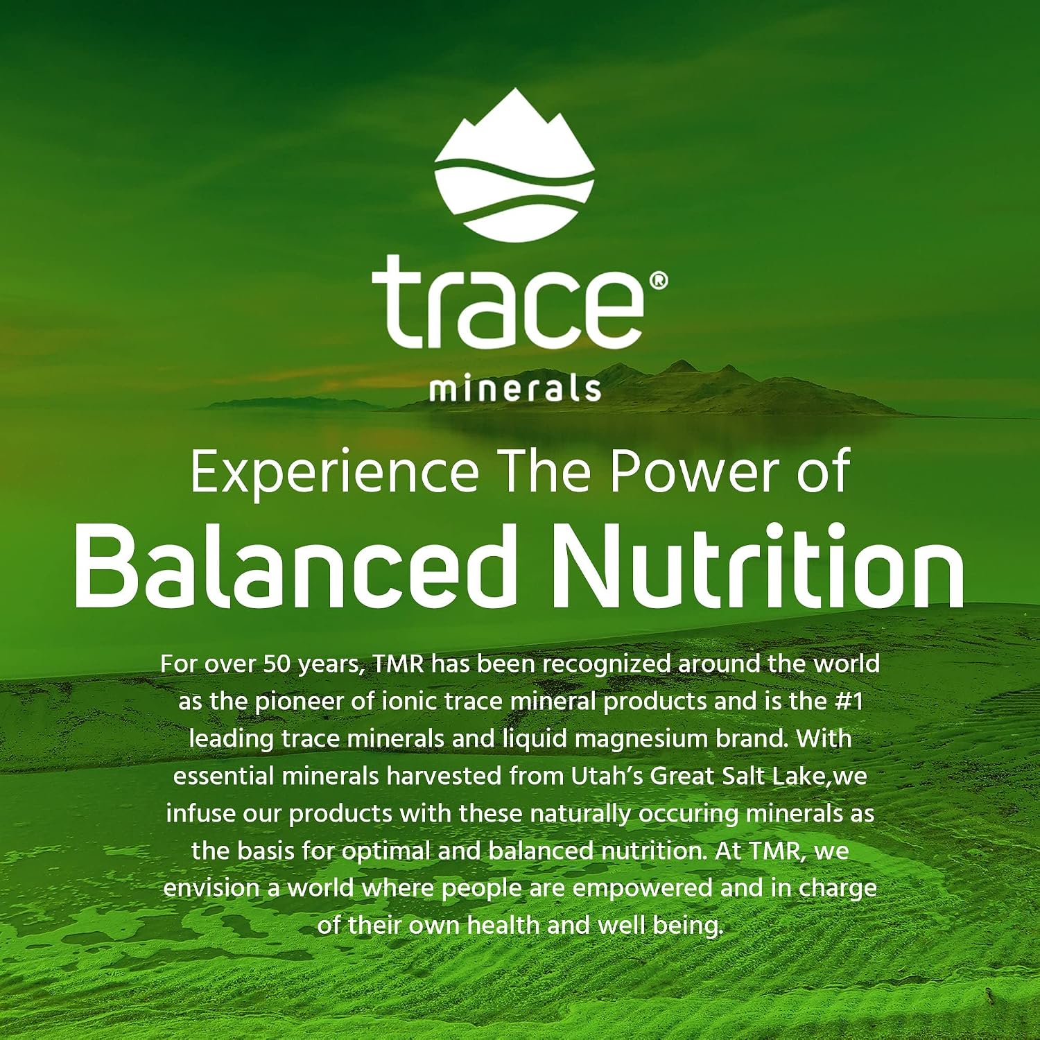 Trace Minerals Power Pak Electrolyte Drink Mix, Lemon Lime, 30 Packets | 1