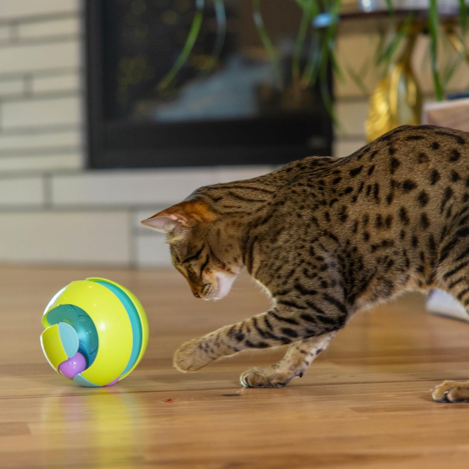Catstages Tower of Tracks Cat Toy – 3-Level Track Tower with 6 Balls, Interactive Cat Toy for Indoor Enrichment