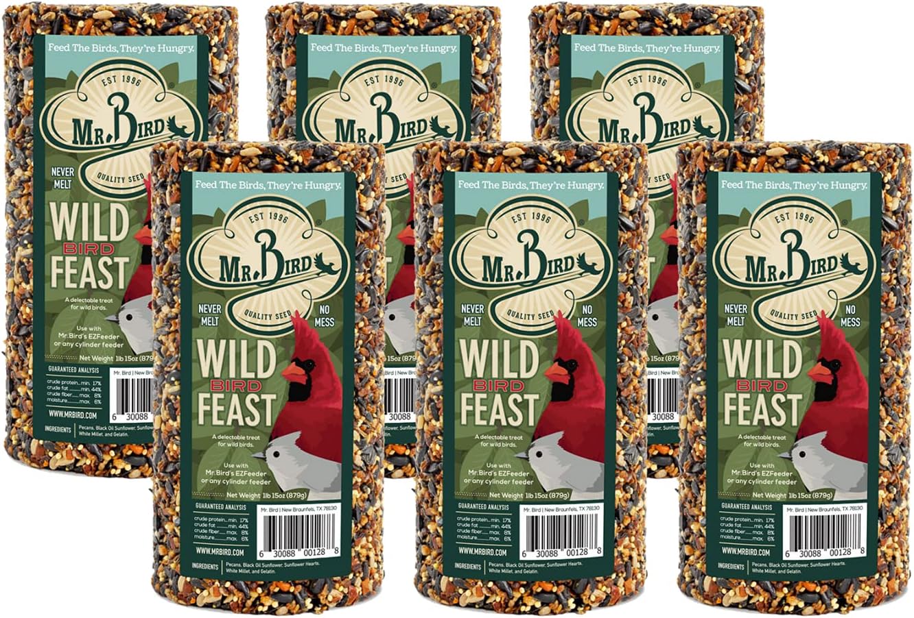 Mr. Bird WildBird Feast Cylinder, 1-Pack, 4 lbs | Wild Bird Seed for Outside Feeders | Premium Blend of Pecans, Sunflower Hearts & Millet | No Mess, No Melt