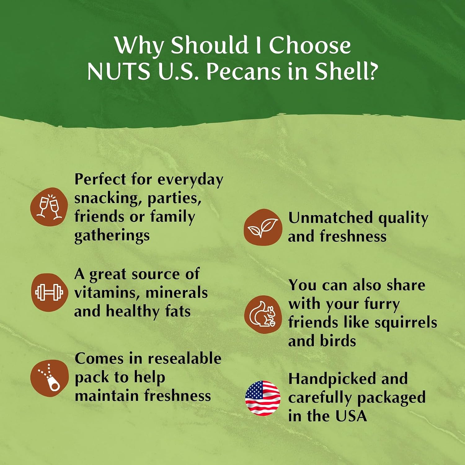 NUTS U.S. - Pecans In shell | Whole