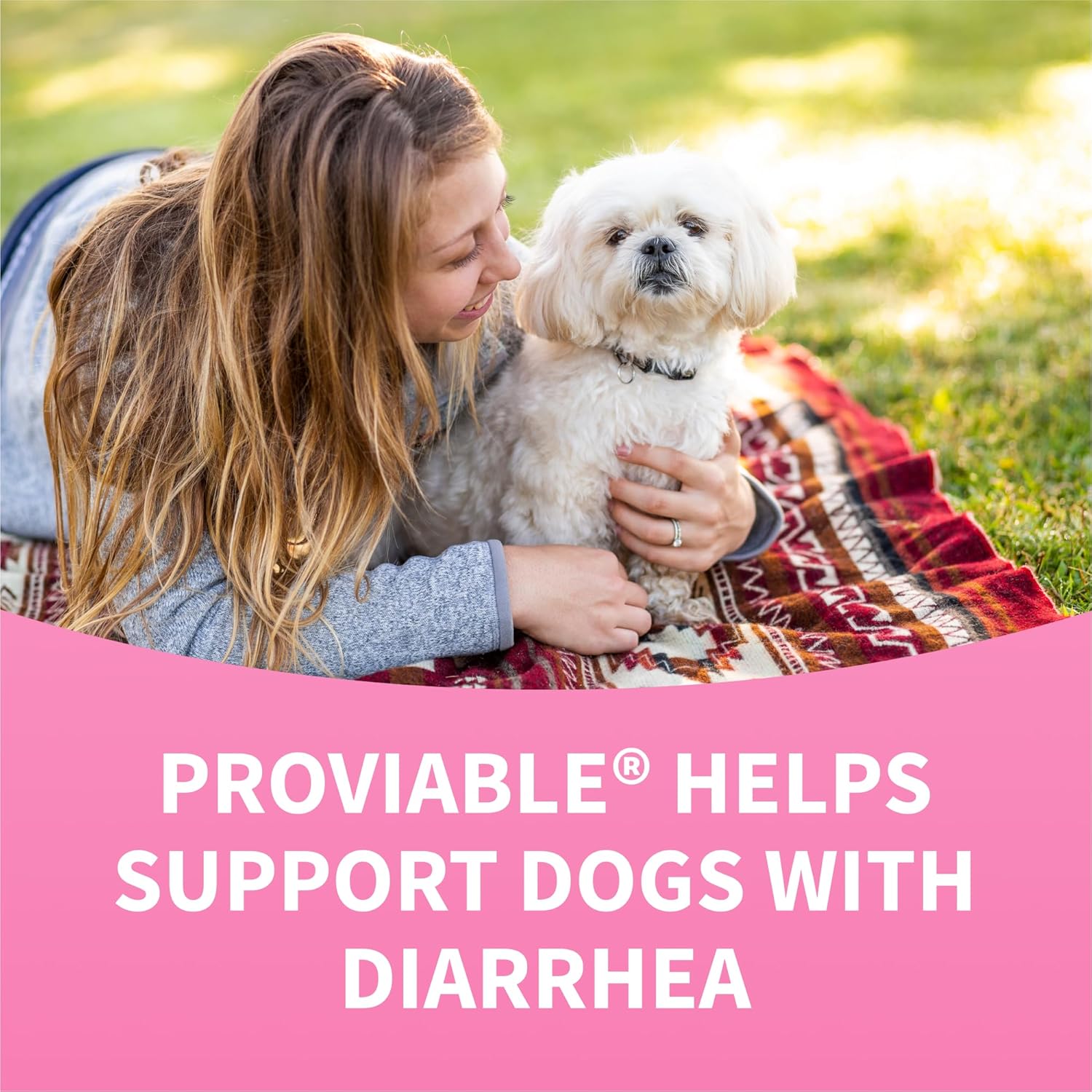 Nutramax Proviable Probiotics + Prebiotics for Dogs, Chewable Tablets, 60ct