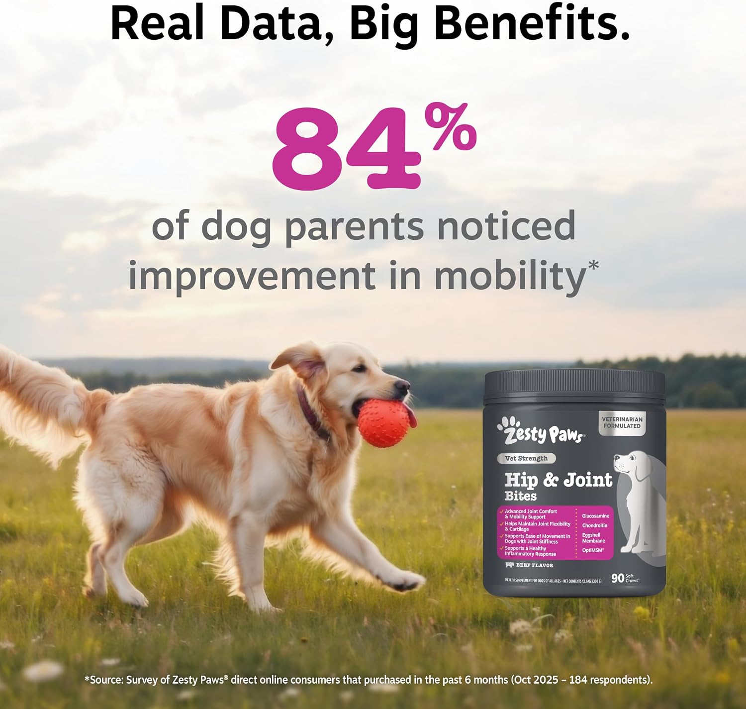 Zesty Paws Hip and Joint Supplement for Dogs - Glucosamine with Chondroitin, MSM, Vitamins C and E Dog Joint Relief - Mobility Bites Duck – 90 Count