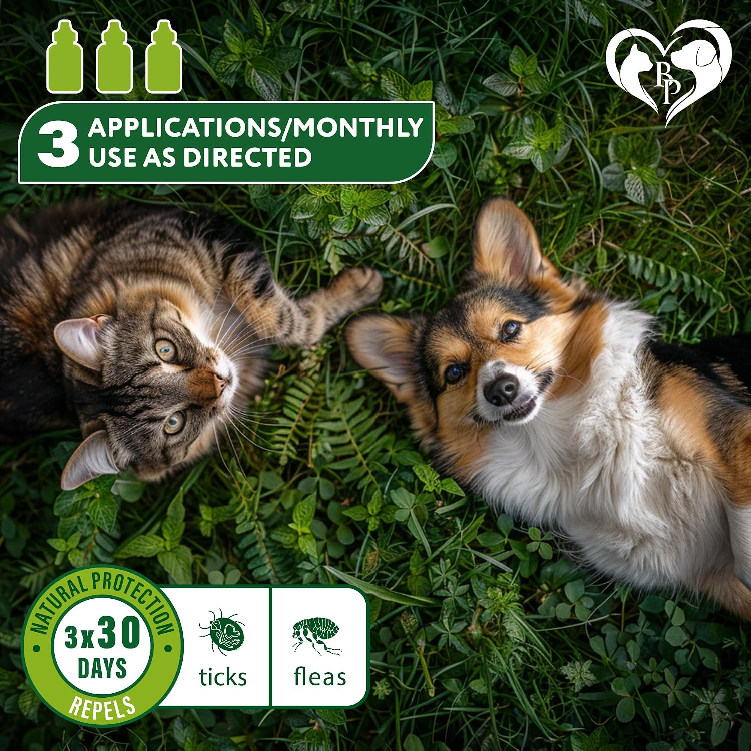 Beloved Pets Flea & Tick Spot-On Drops for Dogs and Cats - Topical Drops, 3 Supply Pack