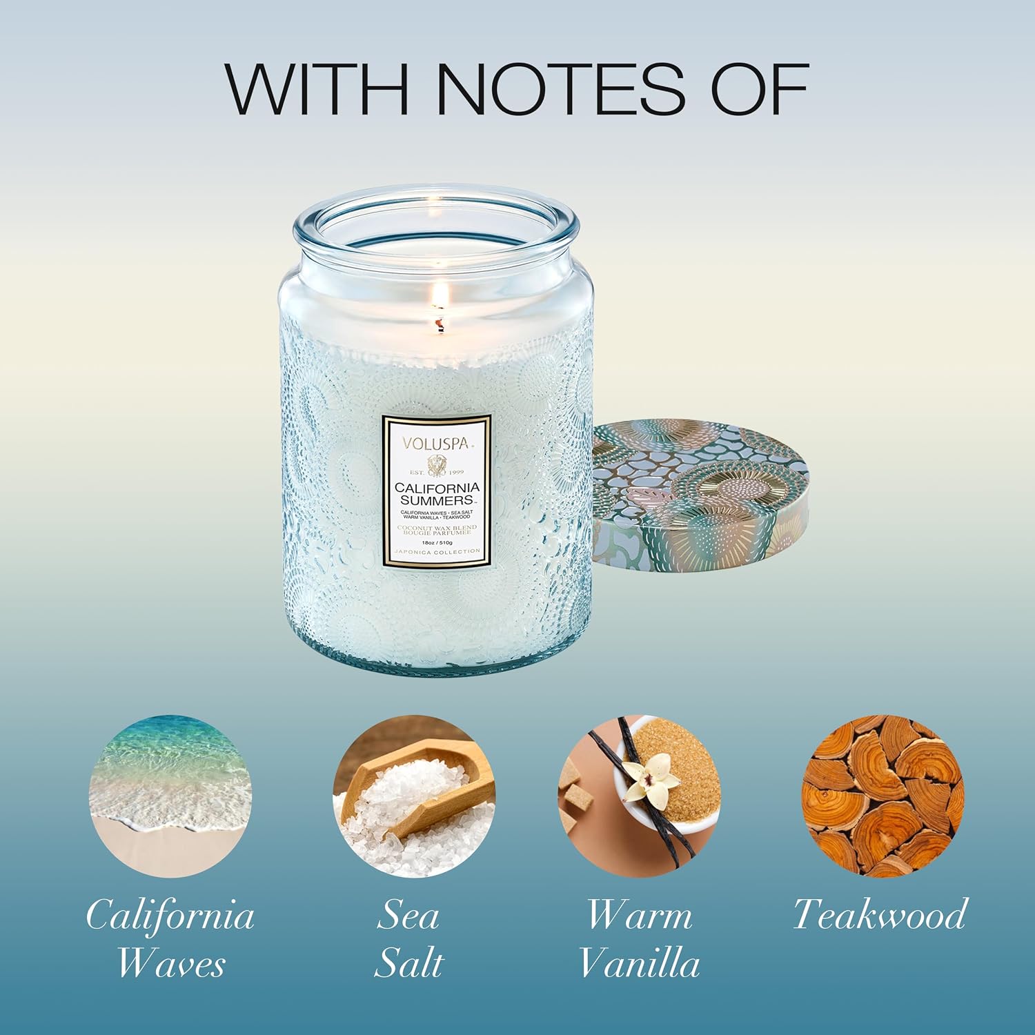 Voluspa French Cade Lavender Large Scented Candle Jar 18 Oz, 100 Hr Burn | Coconut Wax Blend in Decorative Glass, Clean Even Burn, USA Handcrafted Gift for Hosts, Fragrance Lovers & Relaxed Rooms