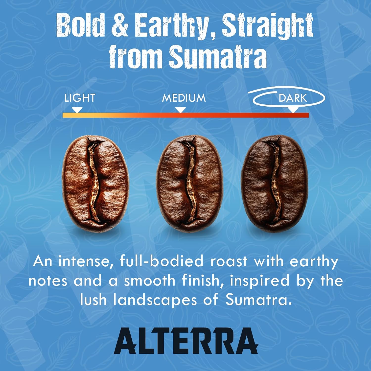 Flavia Alterra French Roast Coffee Freshpacks compatible only with Flavia Brewers, Dark Roast (Case of 100)
