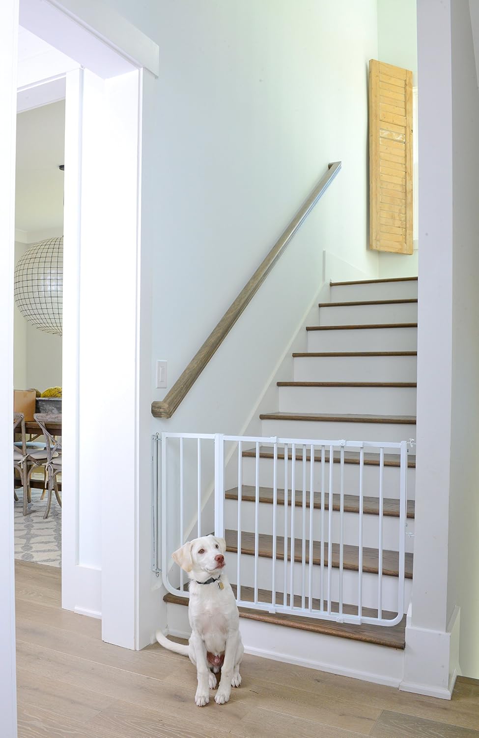 Cardinal Gates SS30 Stairway Special Baby and Pet Gate, 27-42.5 in, Black | One-hand latch, two-way swing and angle-mount hardware for babies and pets