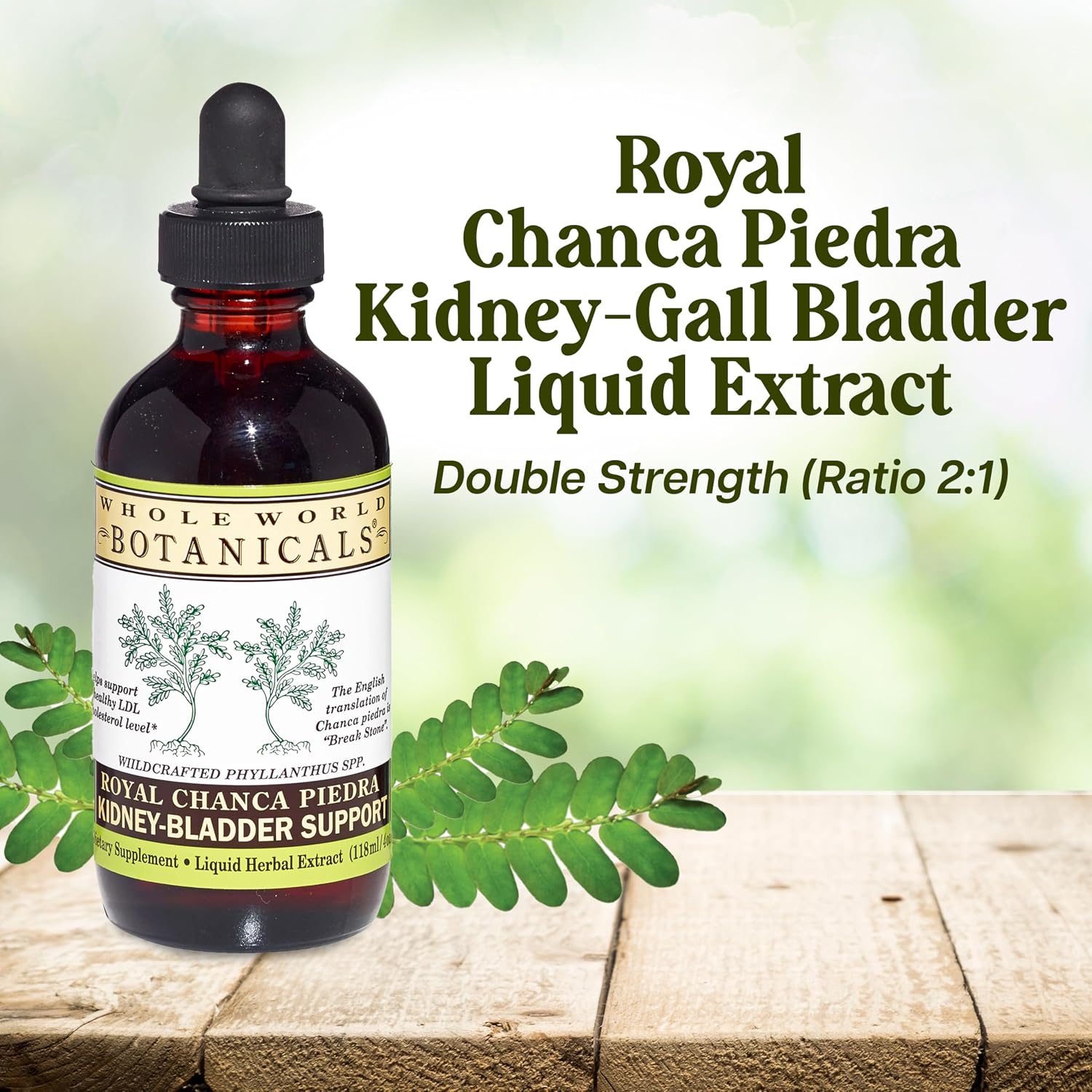 Whole World Botanicals Royal Chanca Piedra – Kidney & Bladder Support – Herbal Supplement – Liquid Extract 4 oz – Traditional Amazon Herb