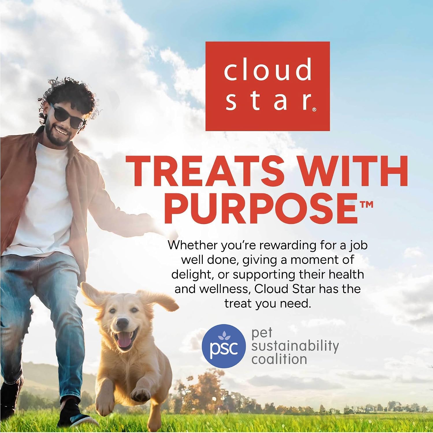 Cloud Star Wag More Bark Less - Dog Treats - Crunchy Biscuits - Grain Free Peanut Butter & Apples - 14 oz Box