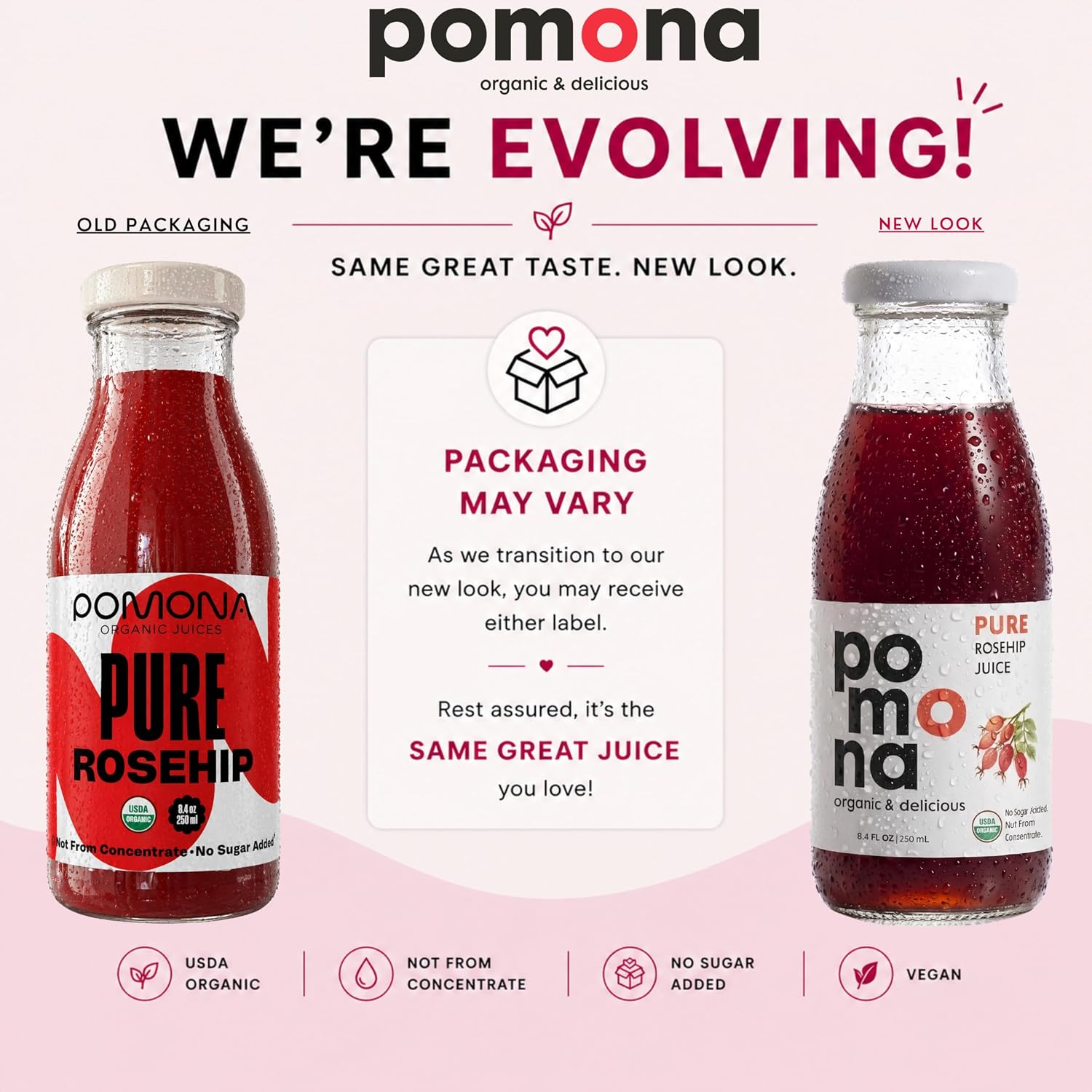 Pomona Organic Pure Black Cherry Juice, Cold Pressed Organic Juice, Non-GMO, No Sugar Added, Not from Concentrate, Gluten Free, Kosher Certified, Preservative Free 8.4 Ounce (Pack of 12),