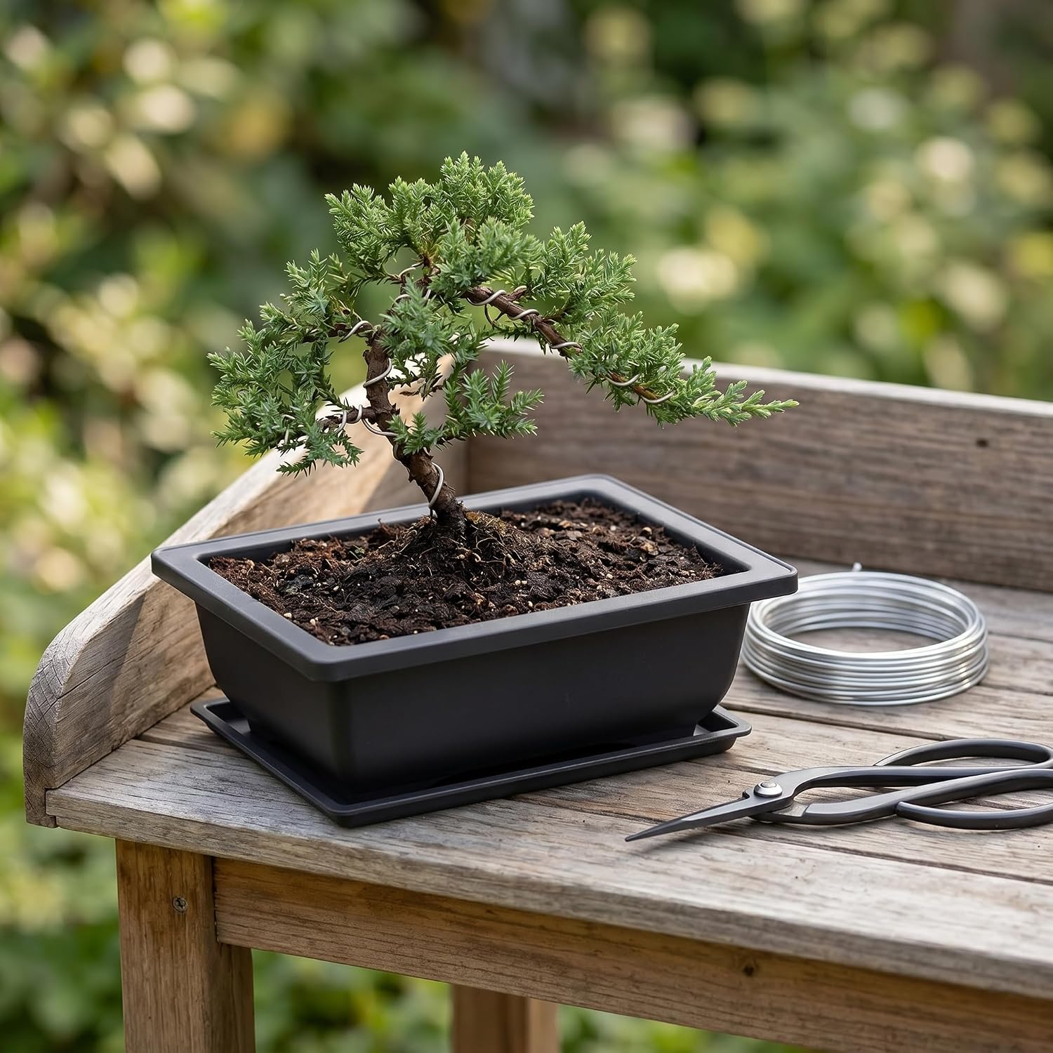 KINJOEK 25 PCS 6.5 Inch Plastic Bonsai Training Pots, Rectangular Plant Bonsai Tree Pot