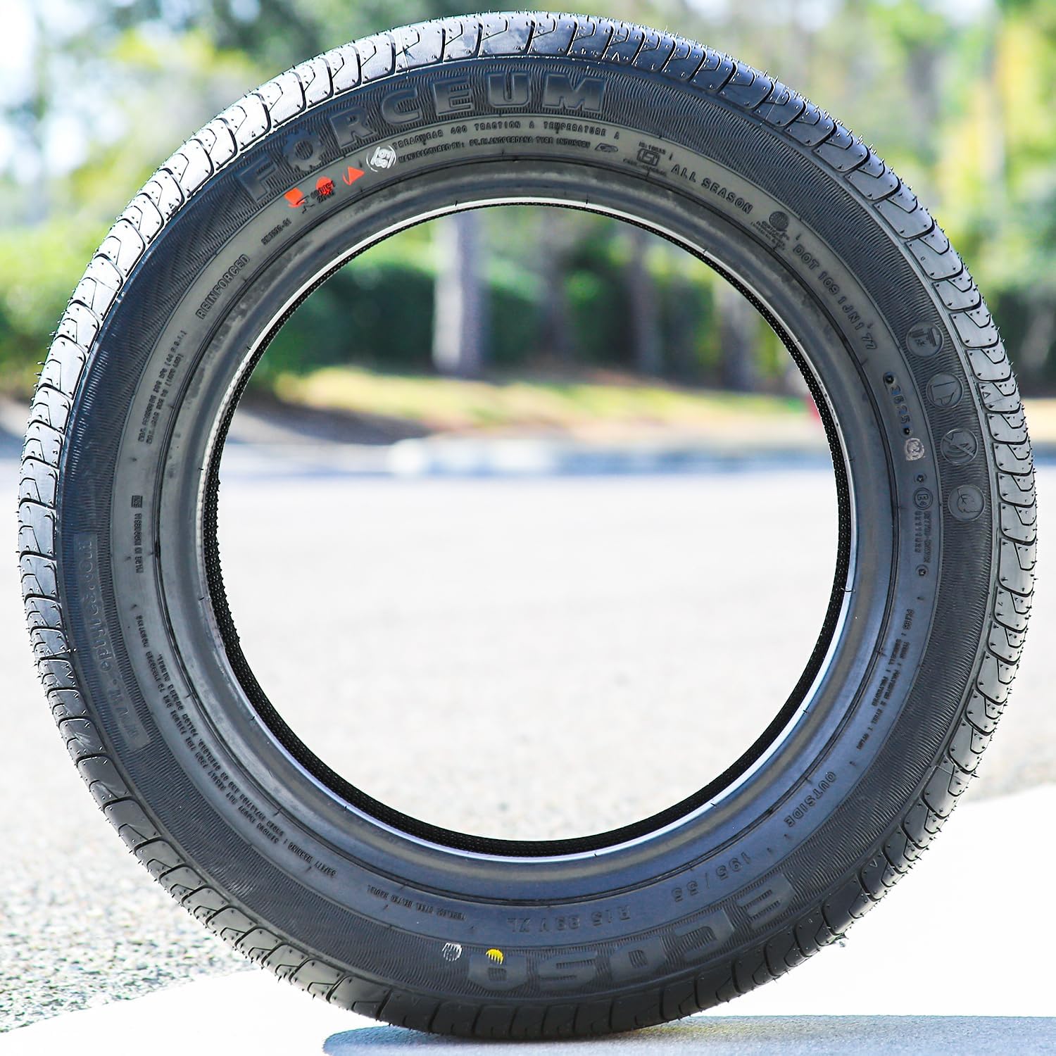 Forceum Ecosa All-Season Passenger Car Touring Radial Tire-175/70R14 175/70/14 175/70-14 84T Load Range SL 4-Ply BSW Black Side Wall UTQG 400AA
