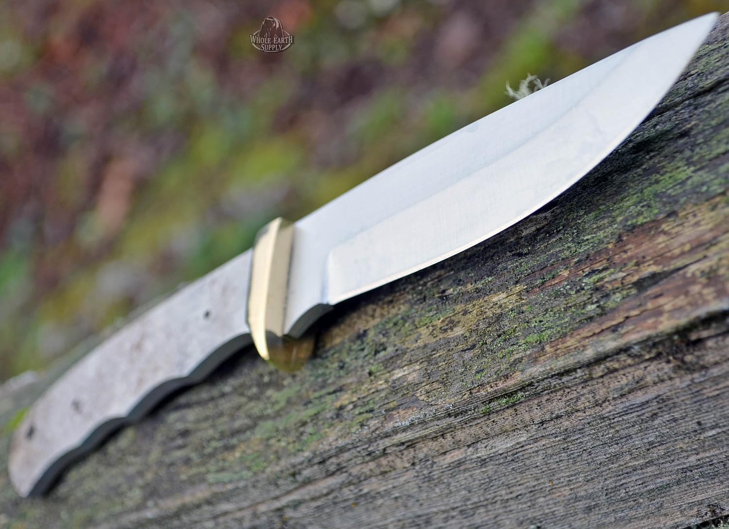 420 Stainless Steel Knife (420 Stainless Steel, 3.5 Inch Blade & 4.5 Inch Blade)