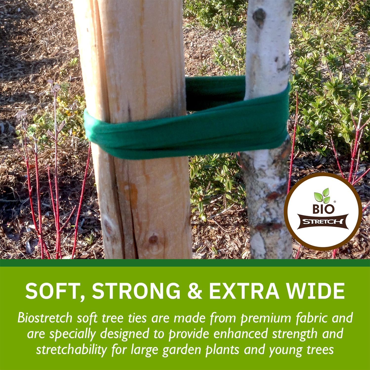 Bio-Stretch Soft Garden Twine & Plant Ties for Outdoor Plants, 1 Ball Green